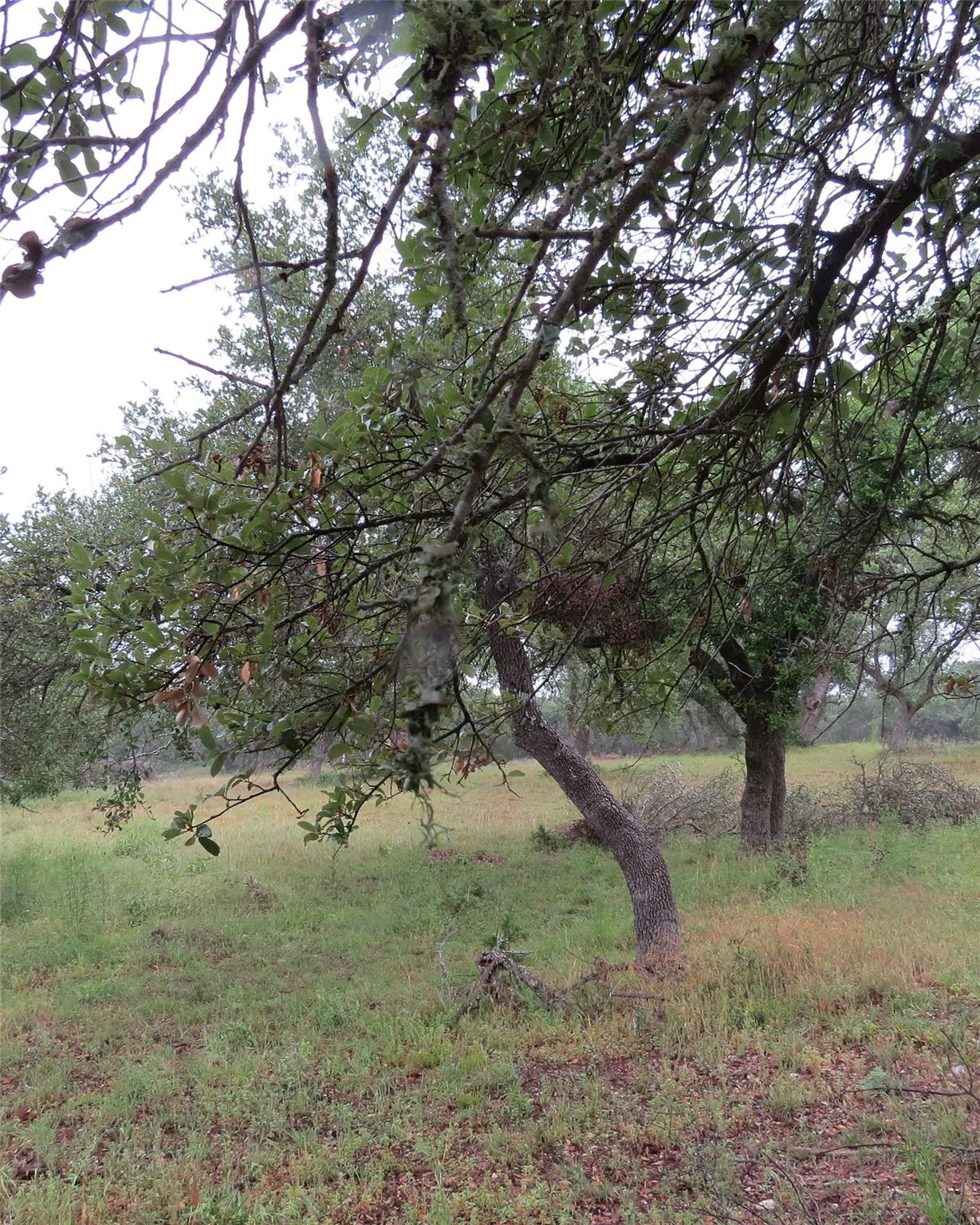 12 Pecos Dr, Wimberley, TX 78676