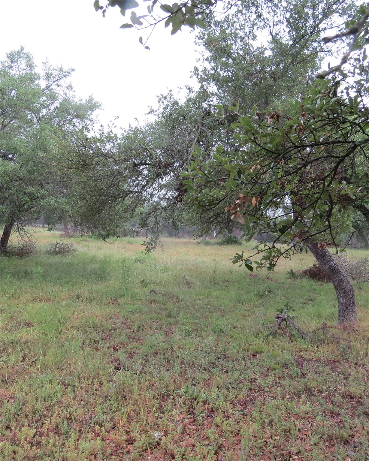 12 Pecos Dr, Wimberley, TX 78676