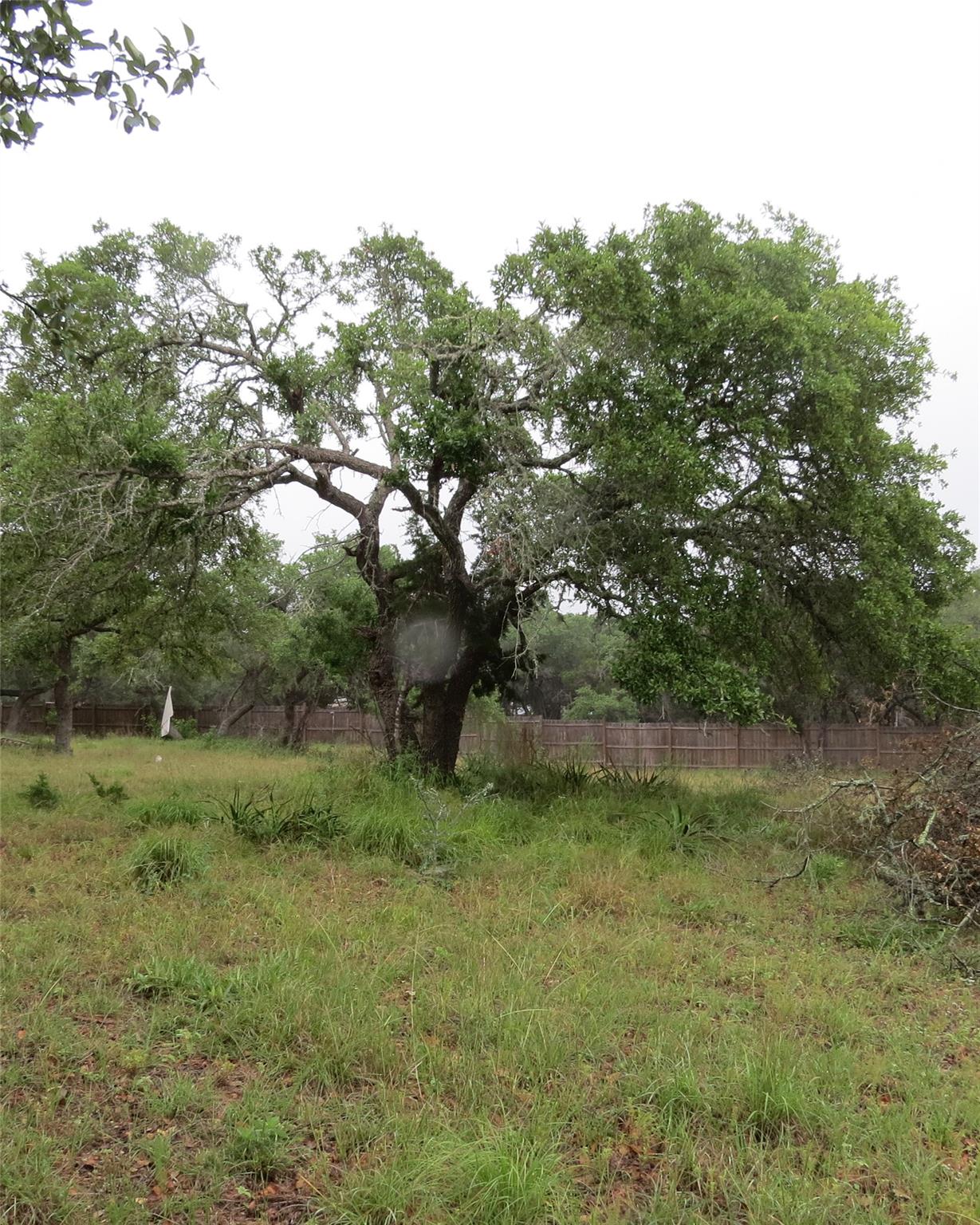 12 Pecos Dr, Wimberley, TX 78676