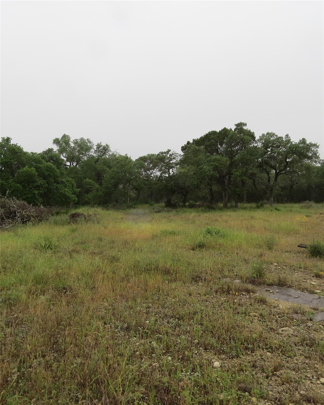 12 Pecos Dr, Wimberley, TX 78676