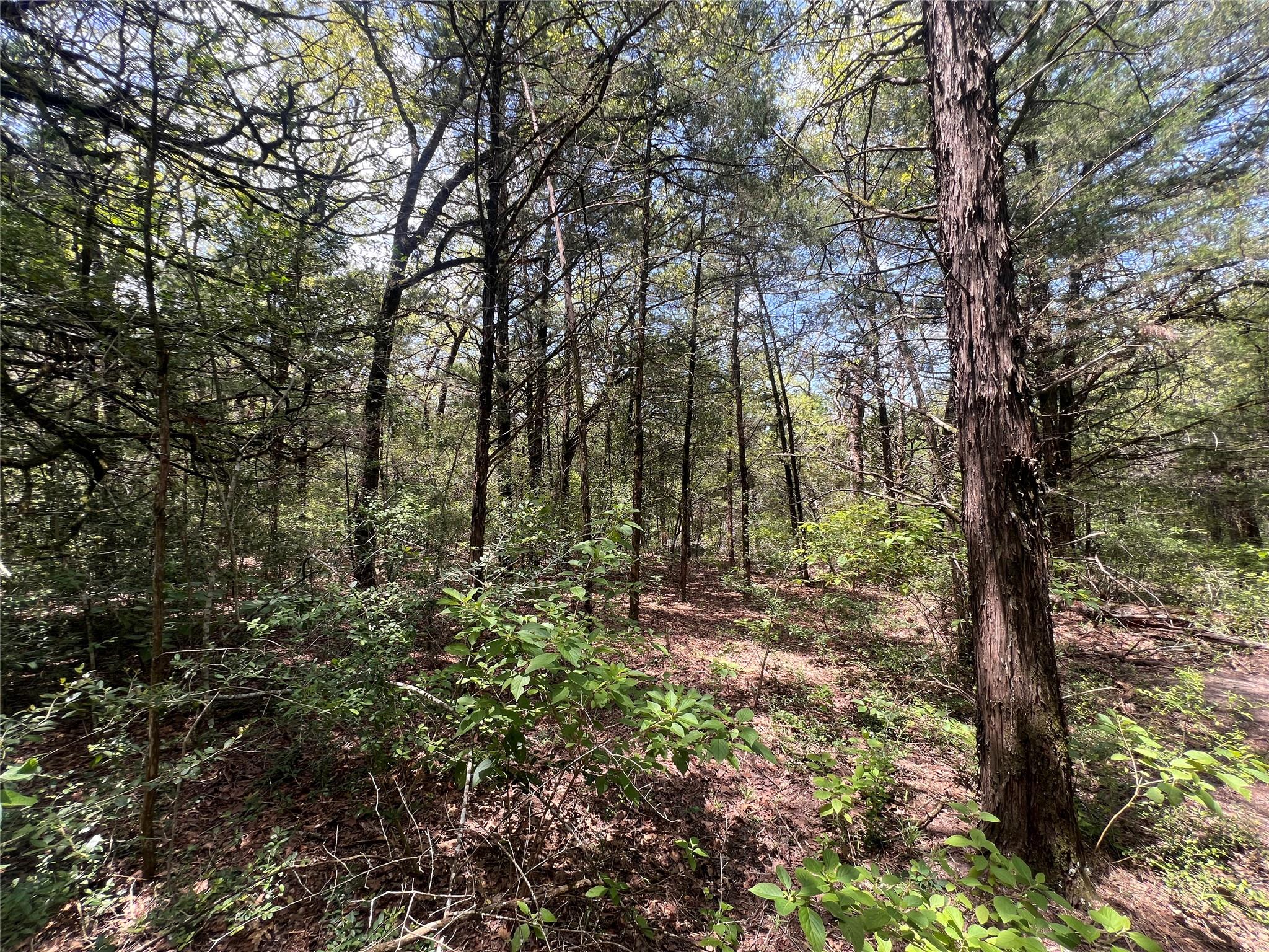 (4.81 Acres) Lot 2 Pauline Ln, Caldwell, TX 77836
