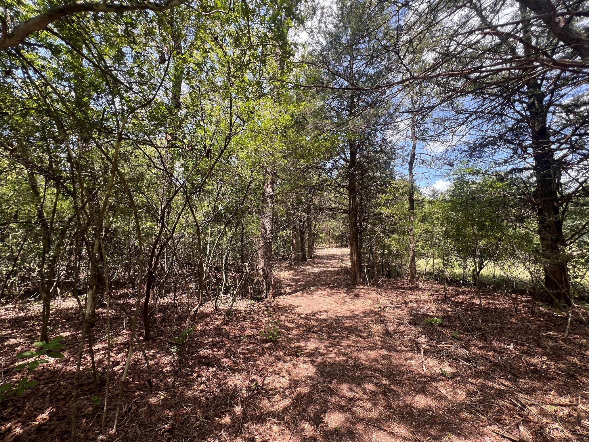 (4.81 Acres) Lot 2 Pauline Ln, Caldwell, TX 77836