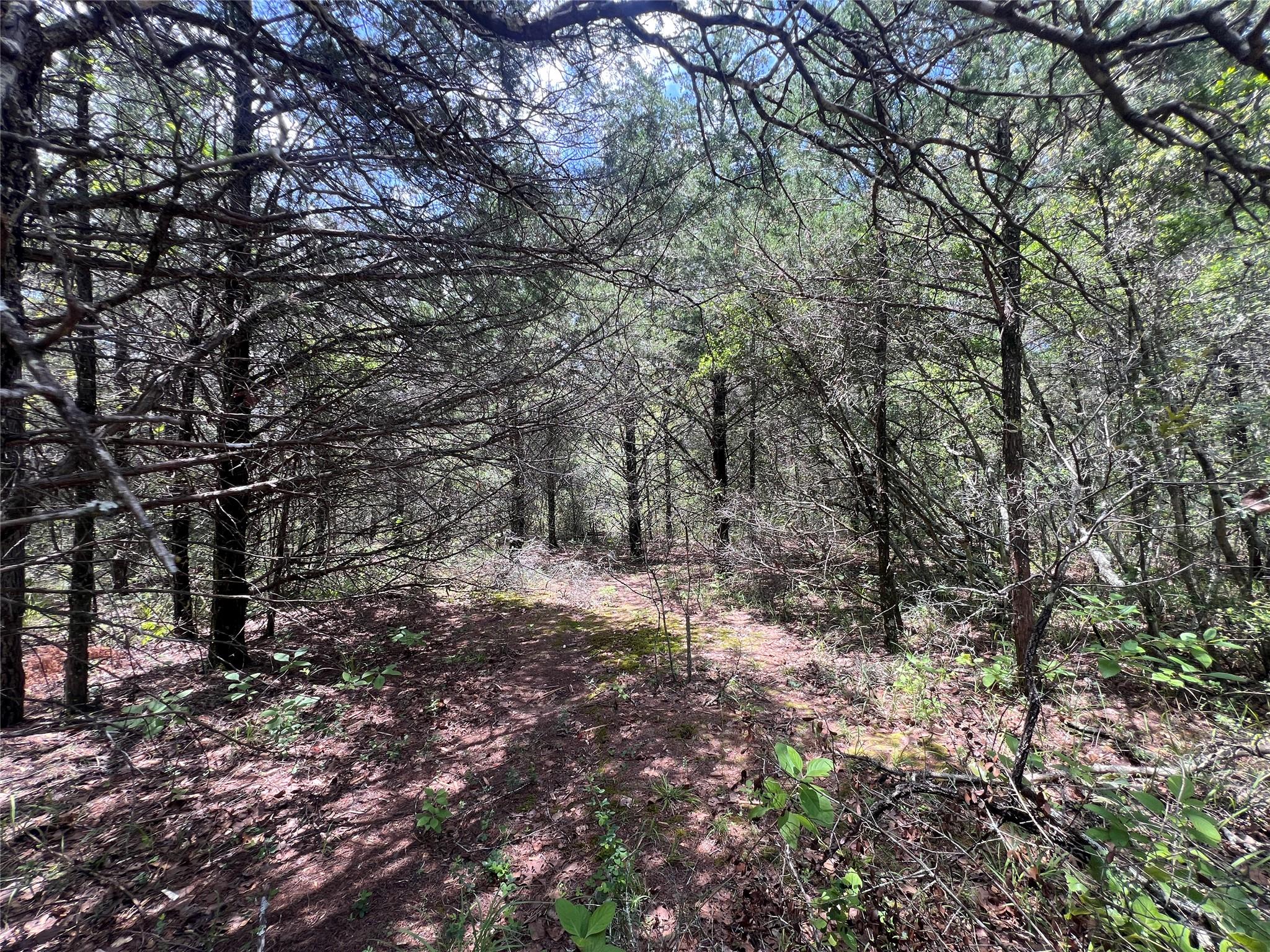 (4.81 Acres) Lot 2 Pauline Ln, Caldwell, TX 77836
