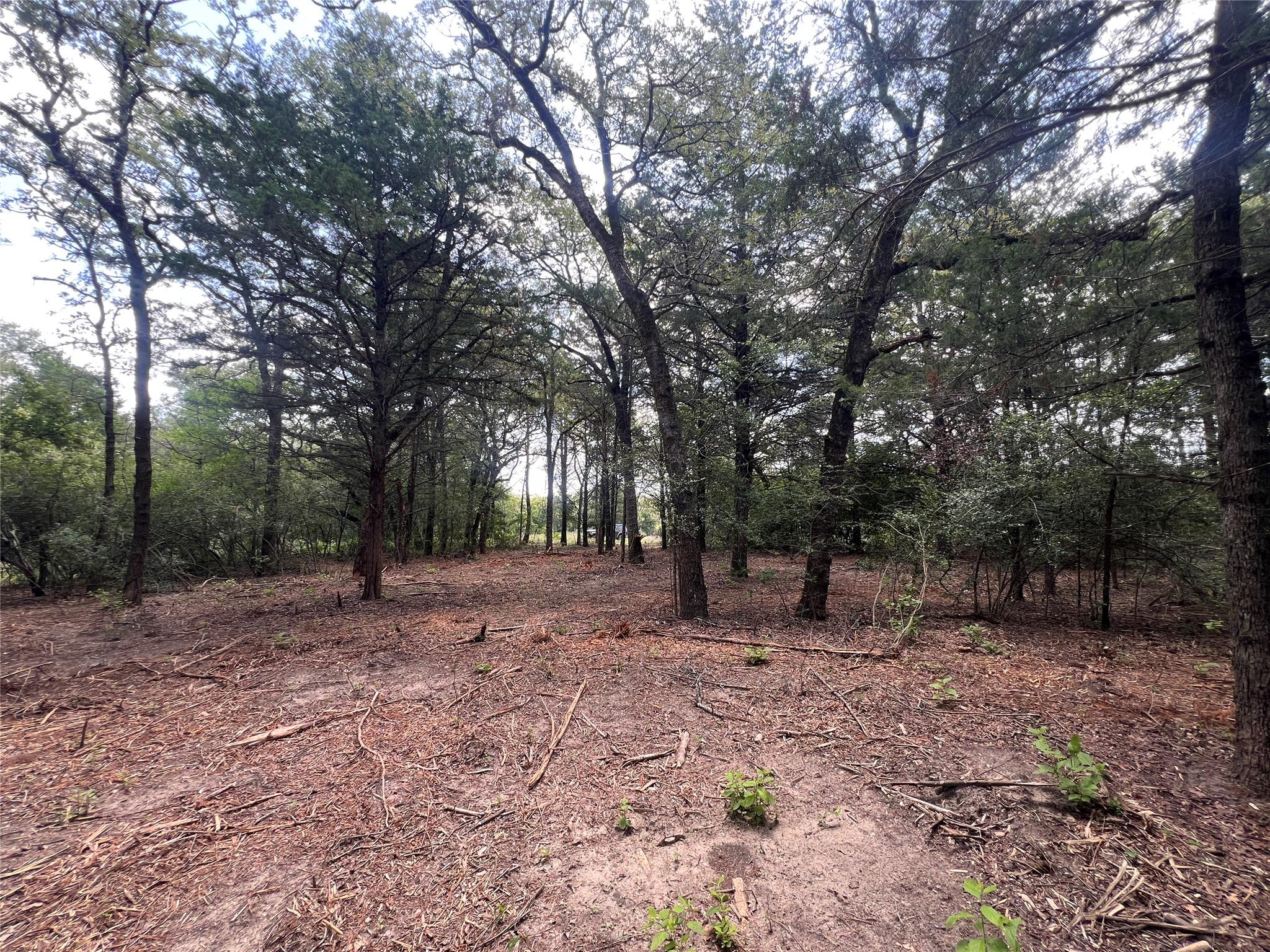 (4.81 Acres) Lot 2 Pauline Ln, Caldwell, TX 77836