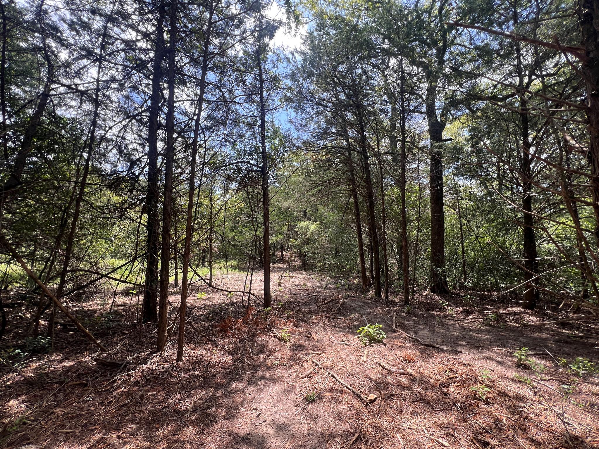 (4.81 Acres) Lot 2 Pauline Ln, Caldwell, TX 77836
