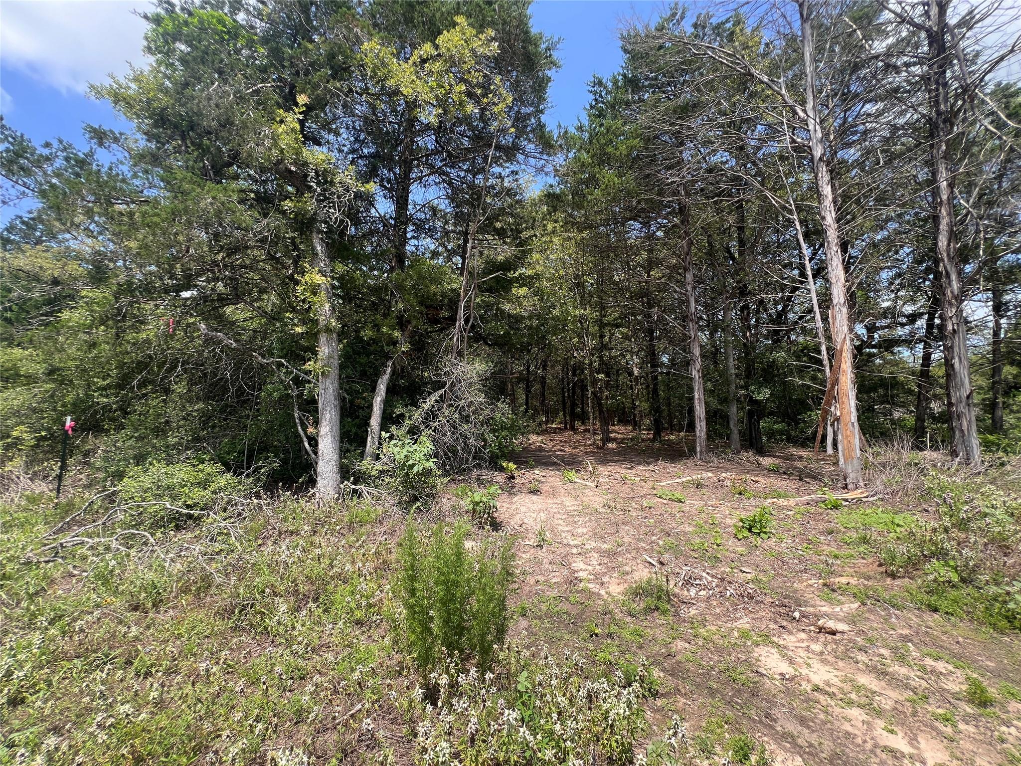 (4.81 Acres) Lot 2 Pauline Ln, Caldwell, TX 77836