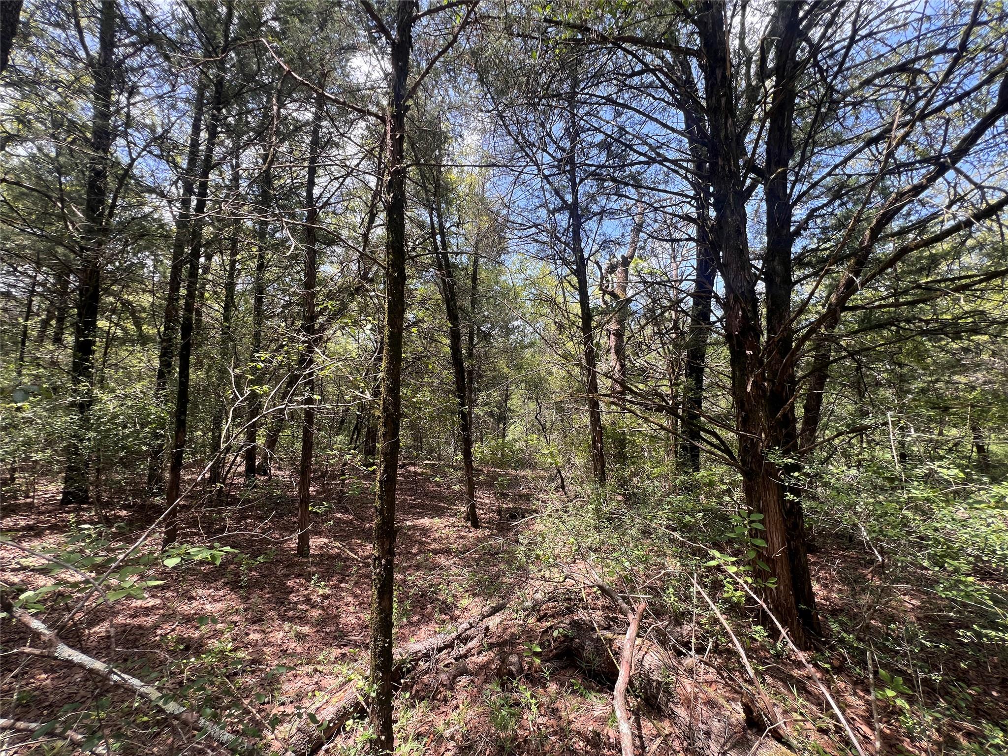 (4.81 Acres) Lot 2 Pauline Ln, Caldwell, TX 77836