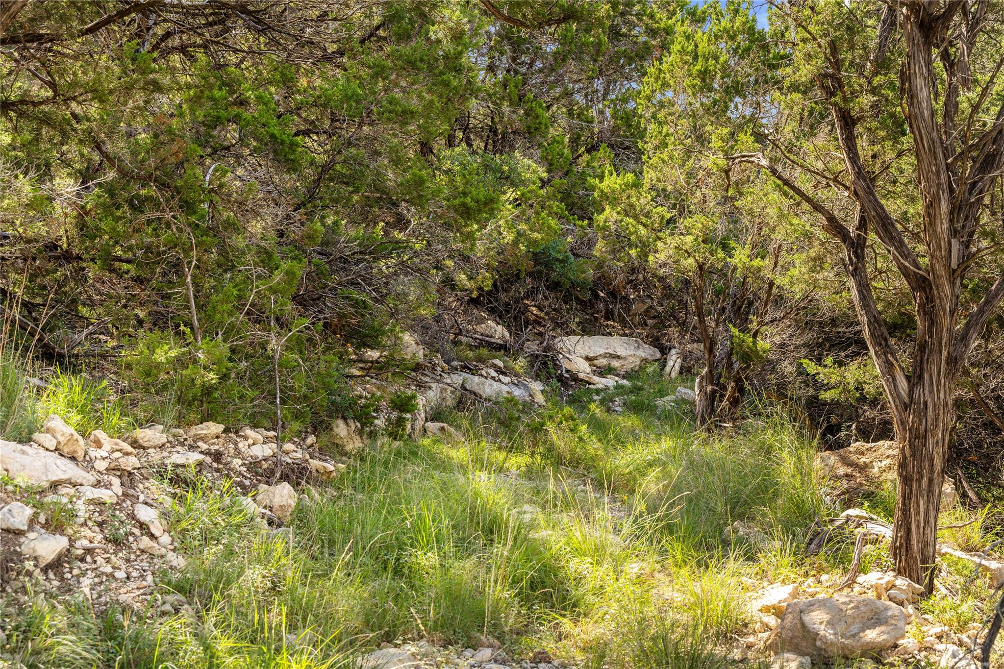 2219 Hiline Dr, Bulverde, TX 78163