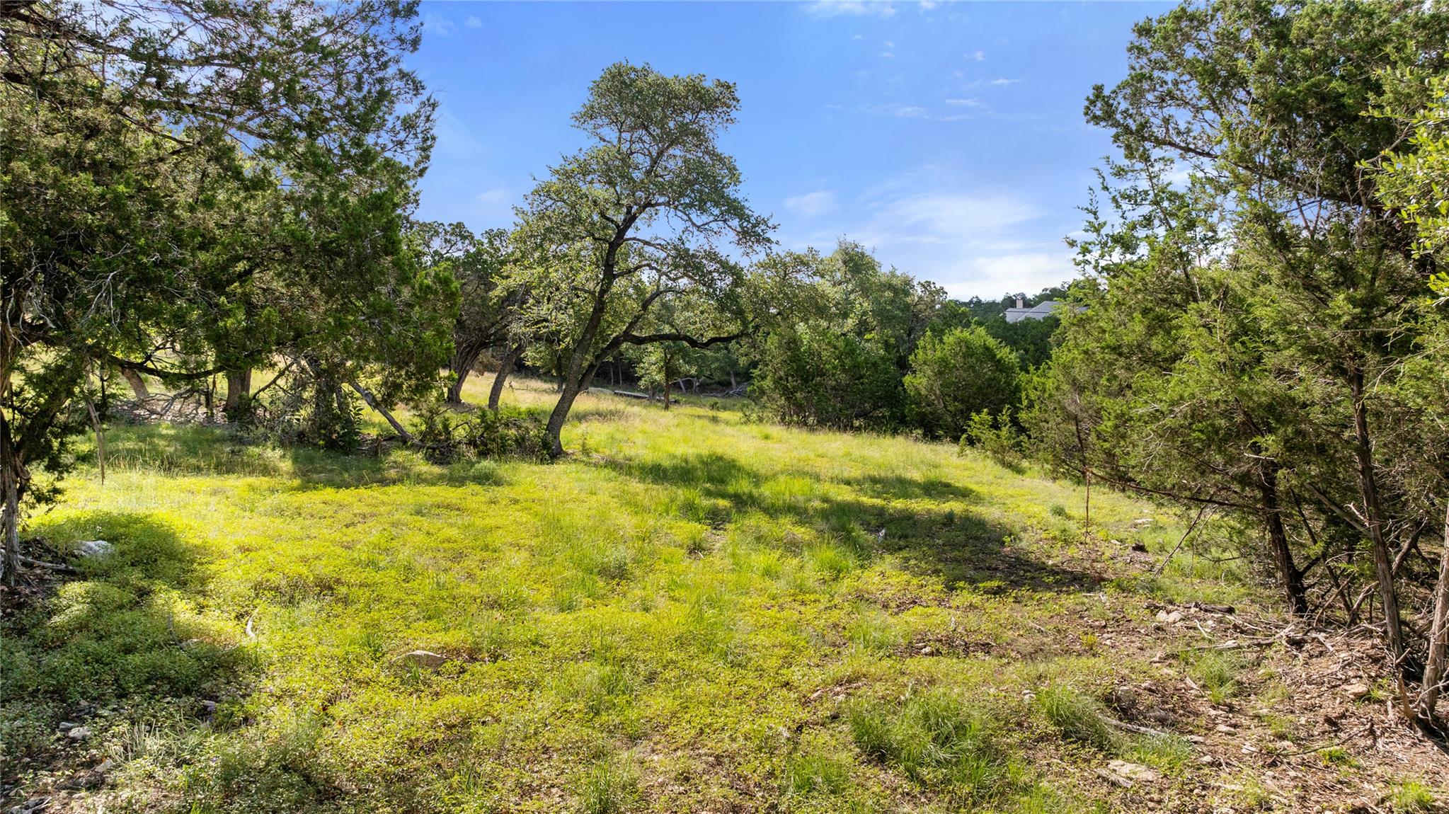 2219 Hiline Dr, Bulverde, TX 78163