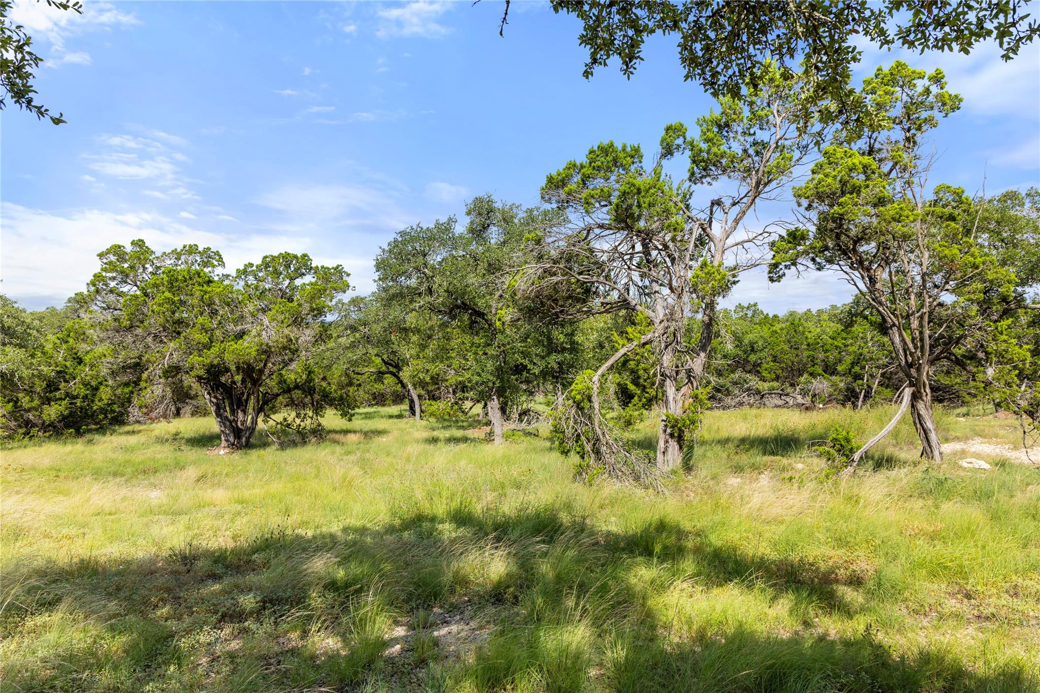 2219 Hiline Dr, Bulverde, TX 78163