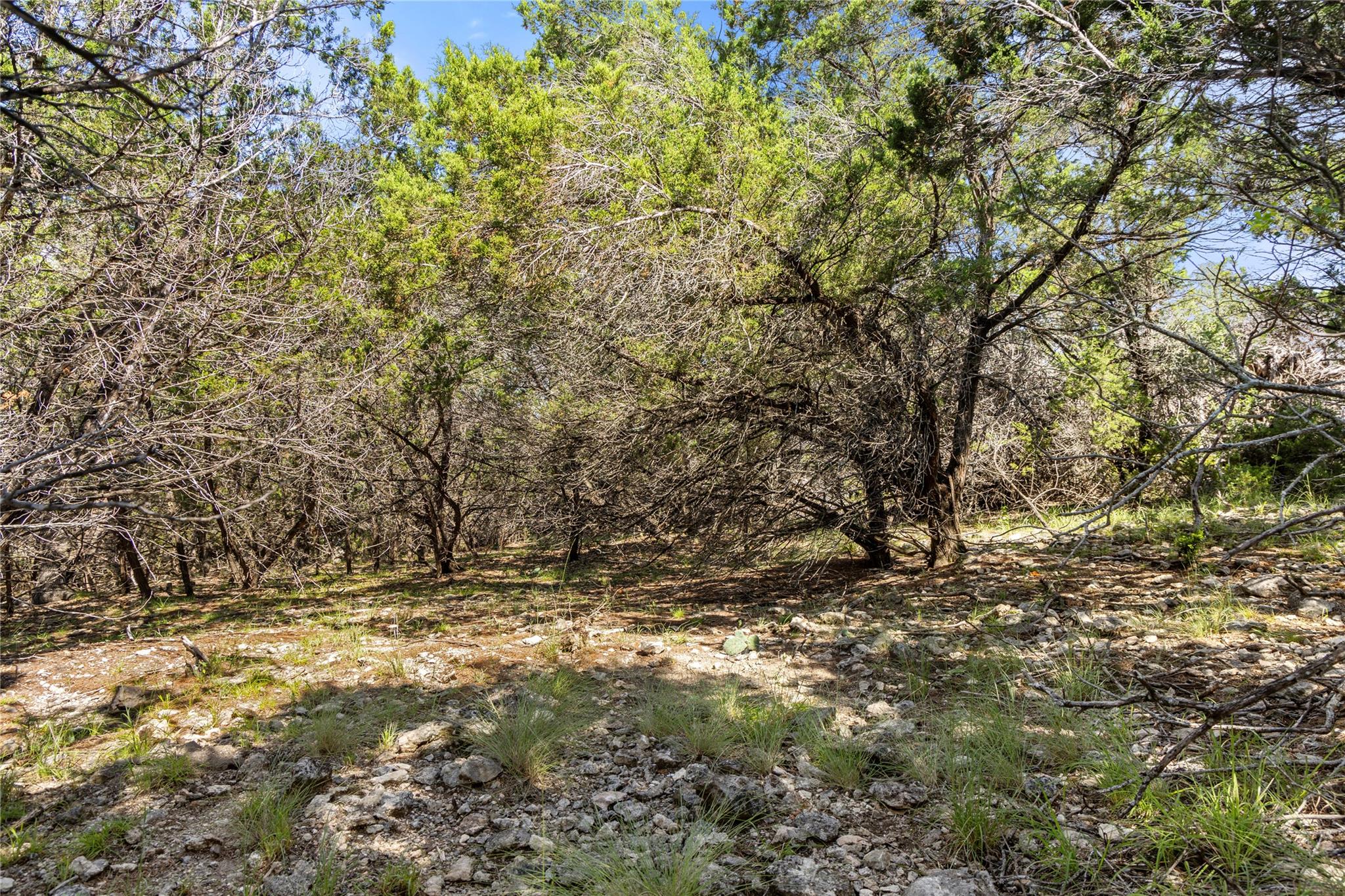 2219 Hiline Dr, Bulverde, TX 78163