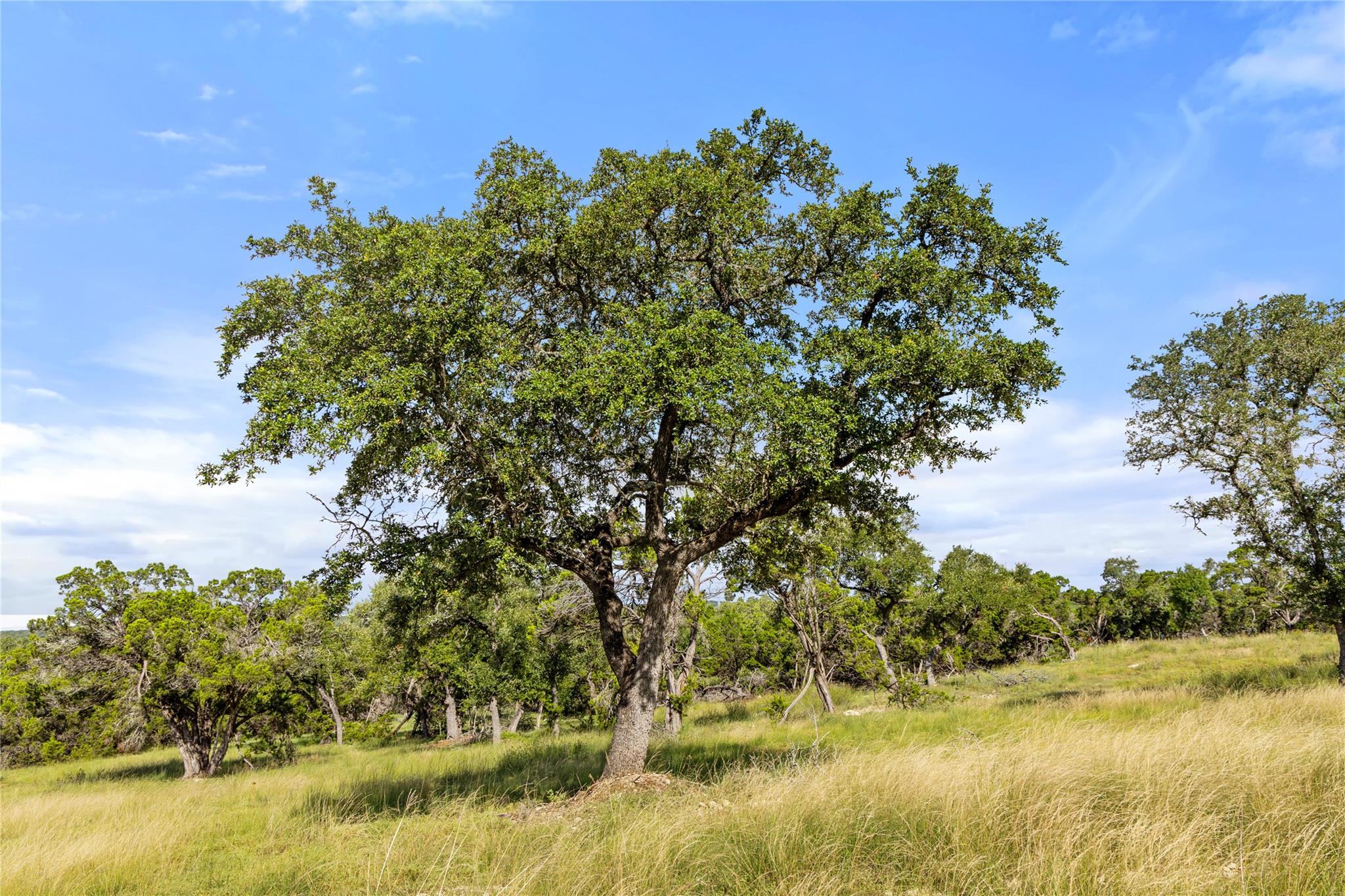 2219 Hiline Dr, Bulverde, TX 78163