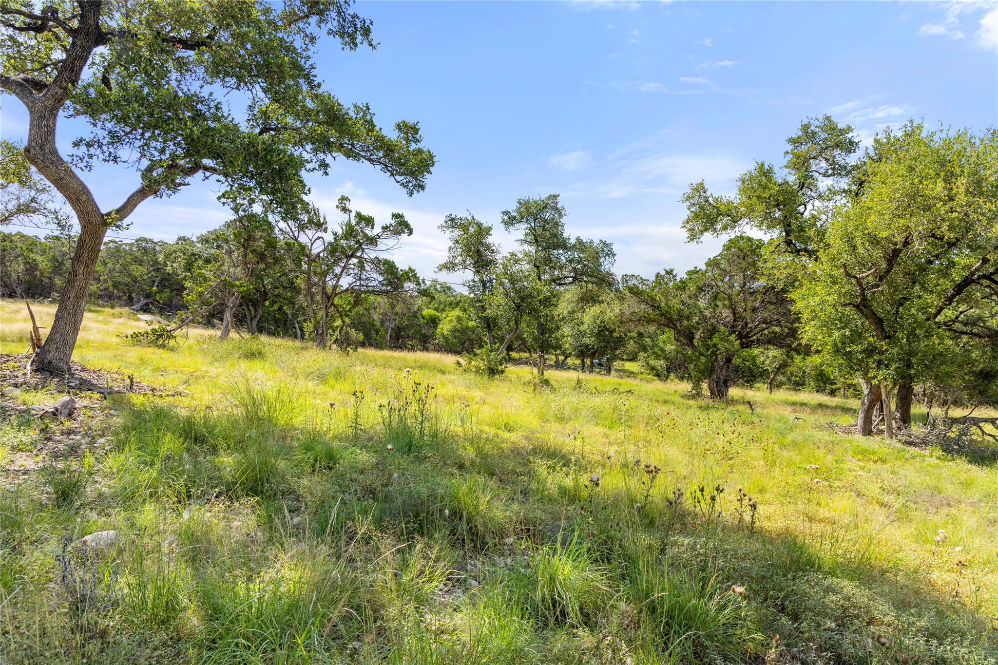 2219 Hiline Dr, Bulverde, TX 78163