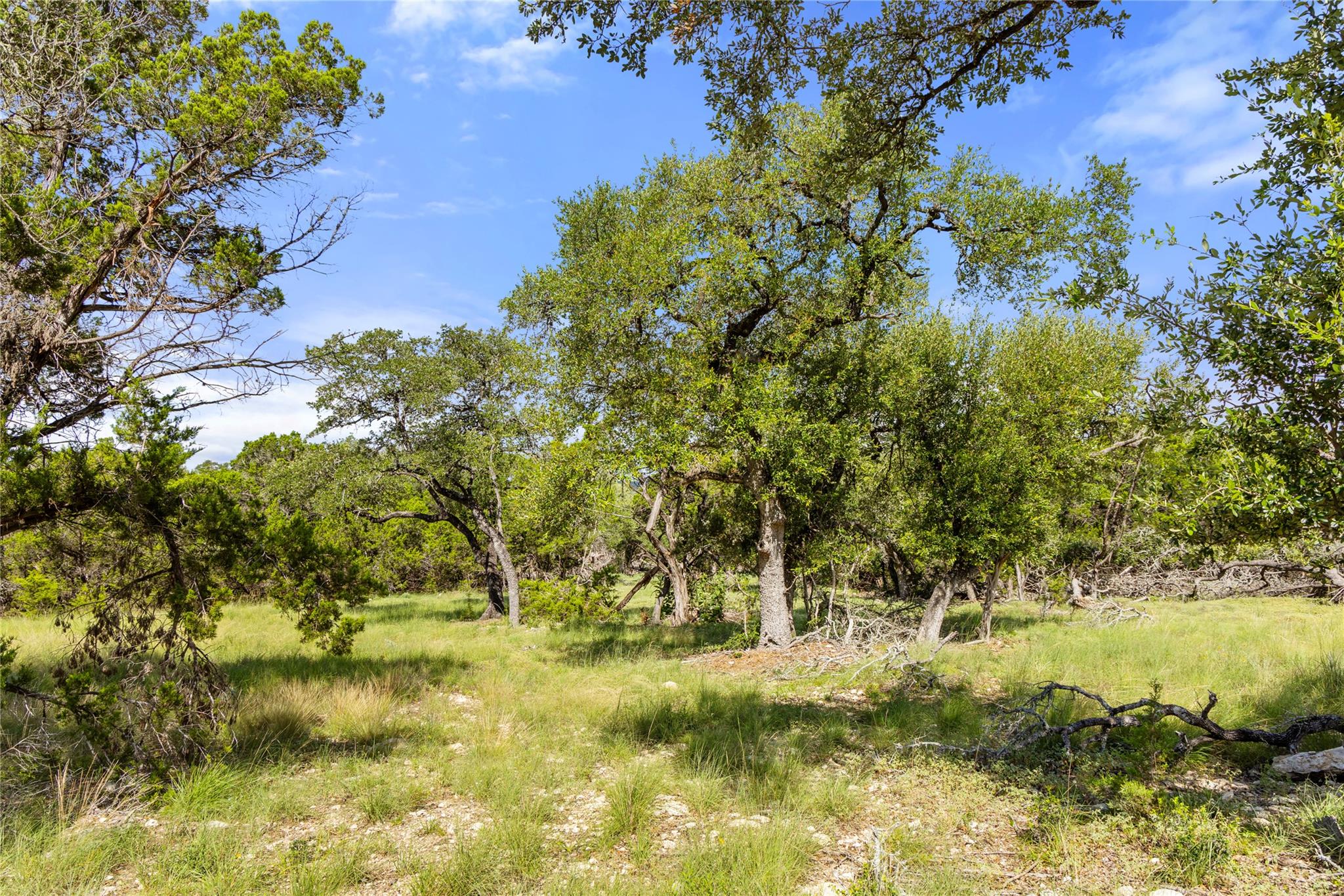 2219 Hiline Dr, Bulverde, TX 78163