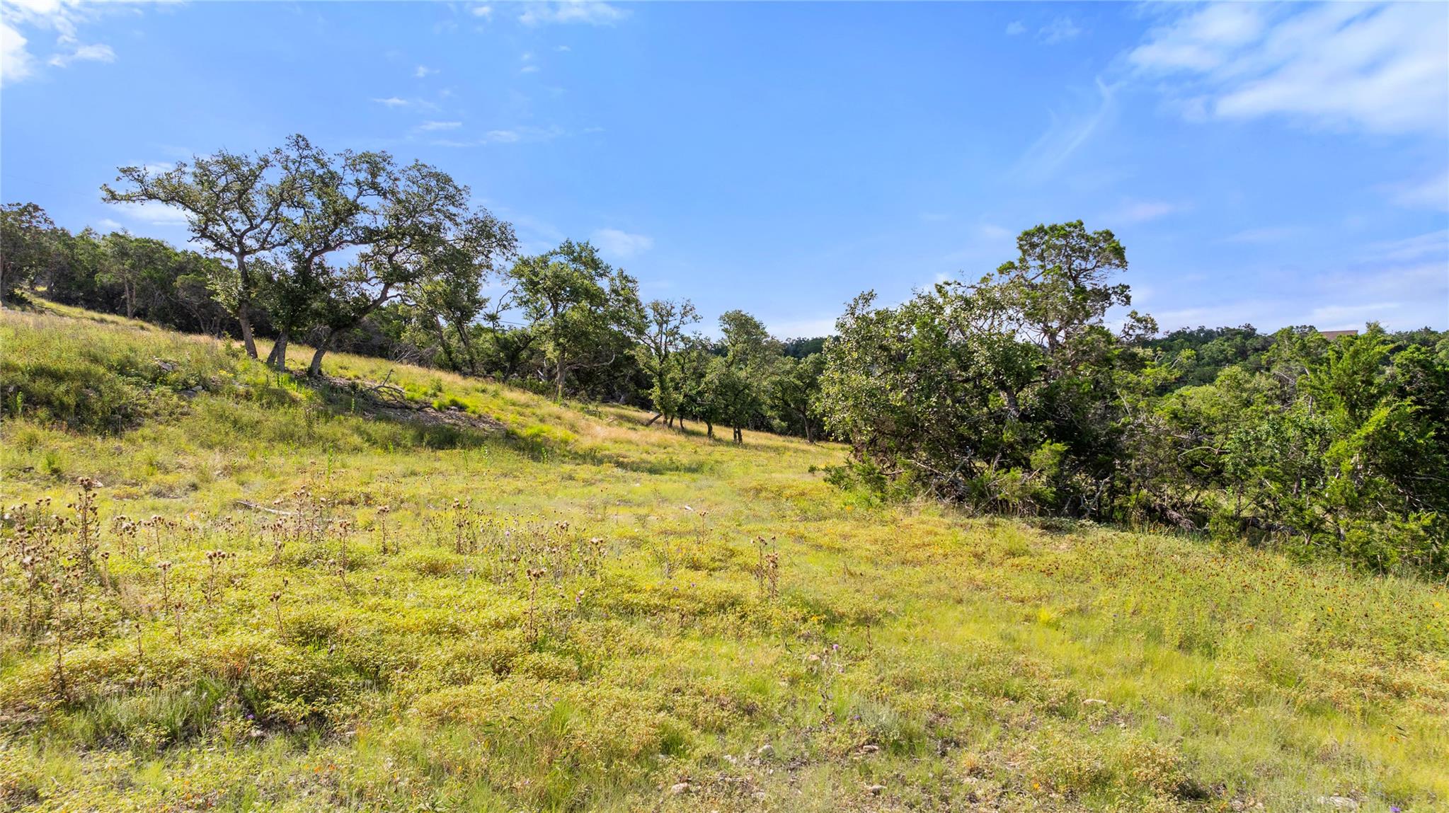 2219 Hiline Dr, Bulverde, TX 78163