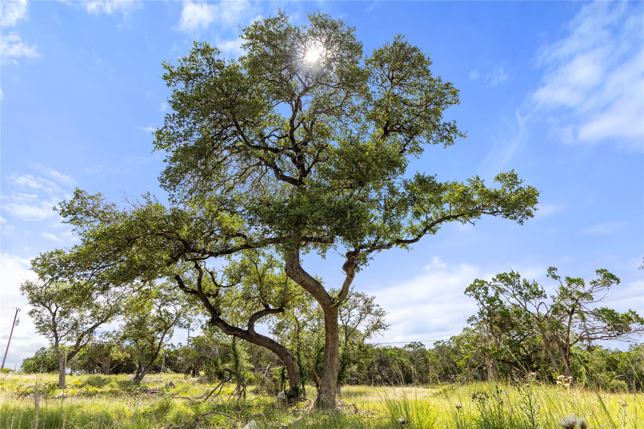 2219 Hiline Dr, Bulverde, TX 78163