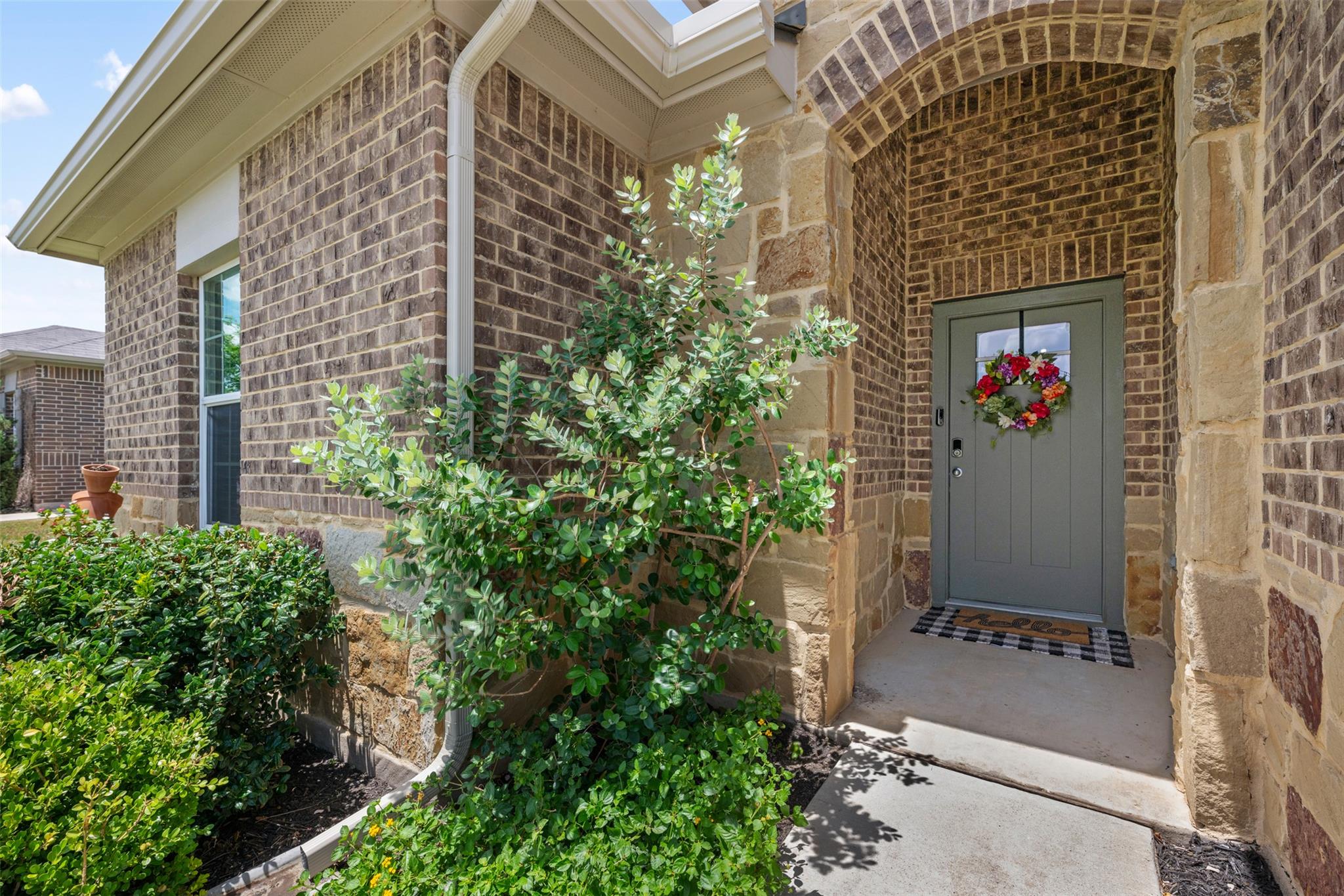 316 Shiner Ln, Georgetown, TX 78626