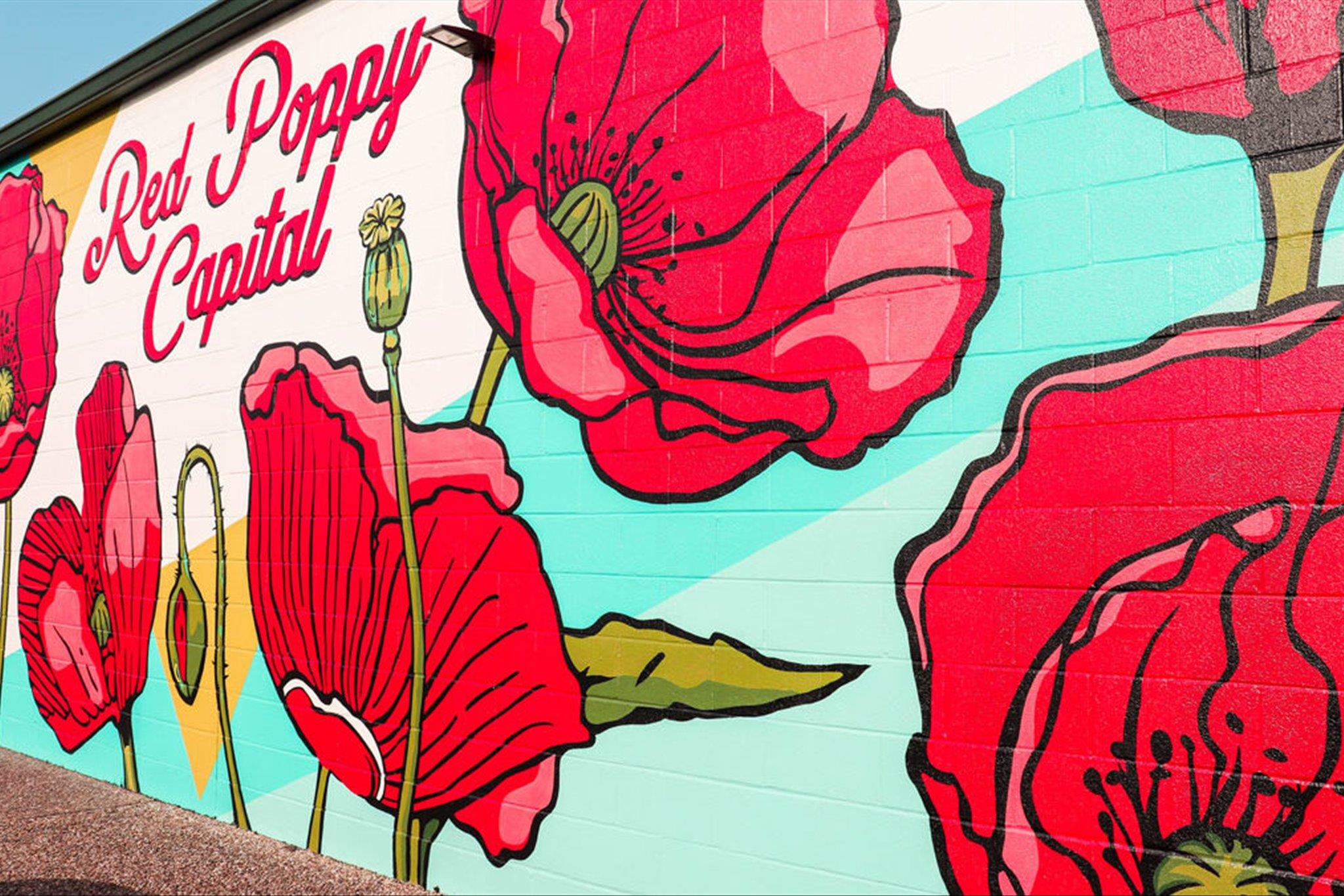 524 Highland Spring Ln, Georgetown, TX 78633