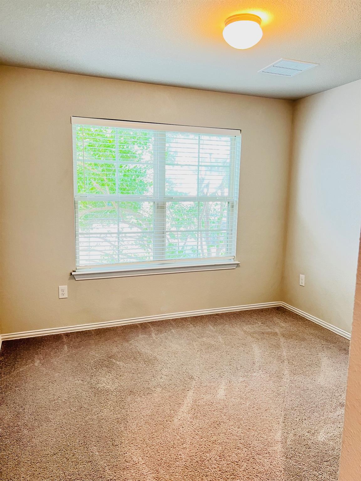 13613 Sugar Bush Path, Manor, TX 78653