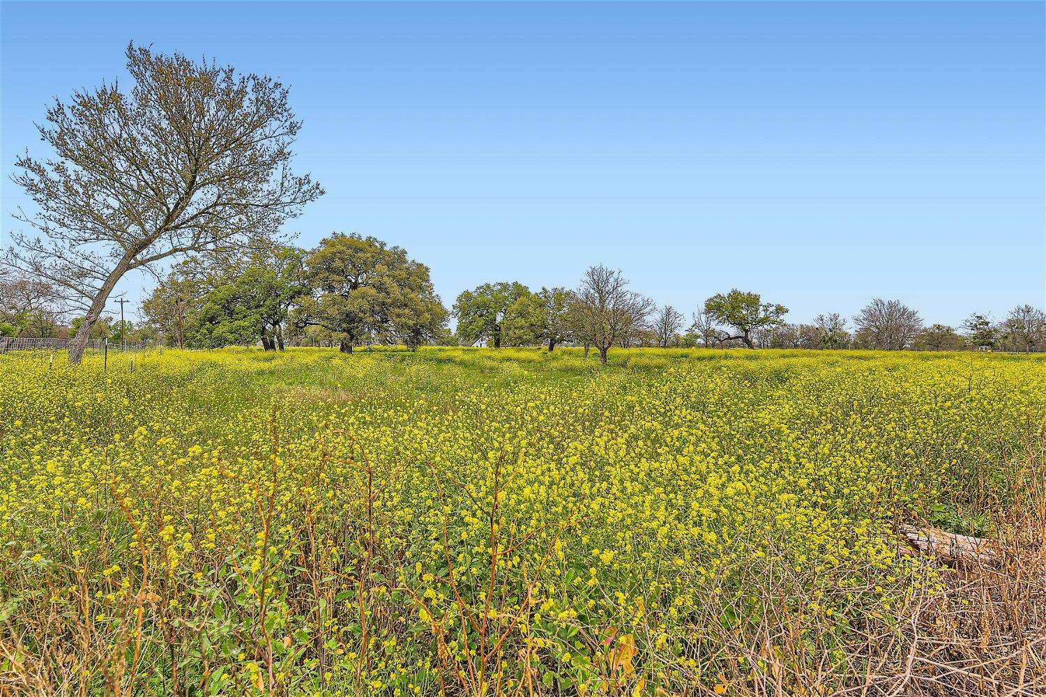 602 NW River road, Martindale, TX 78655