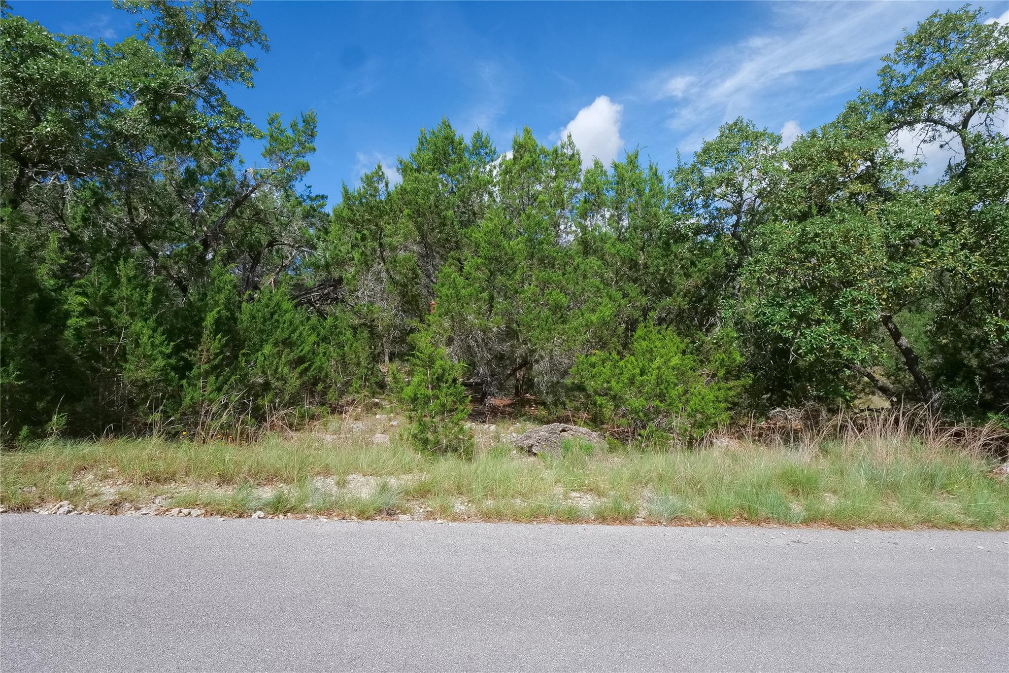 22314 Briarcliff Dr, Briarcliff, TX 78669