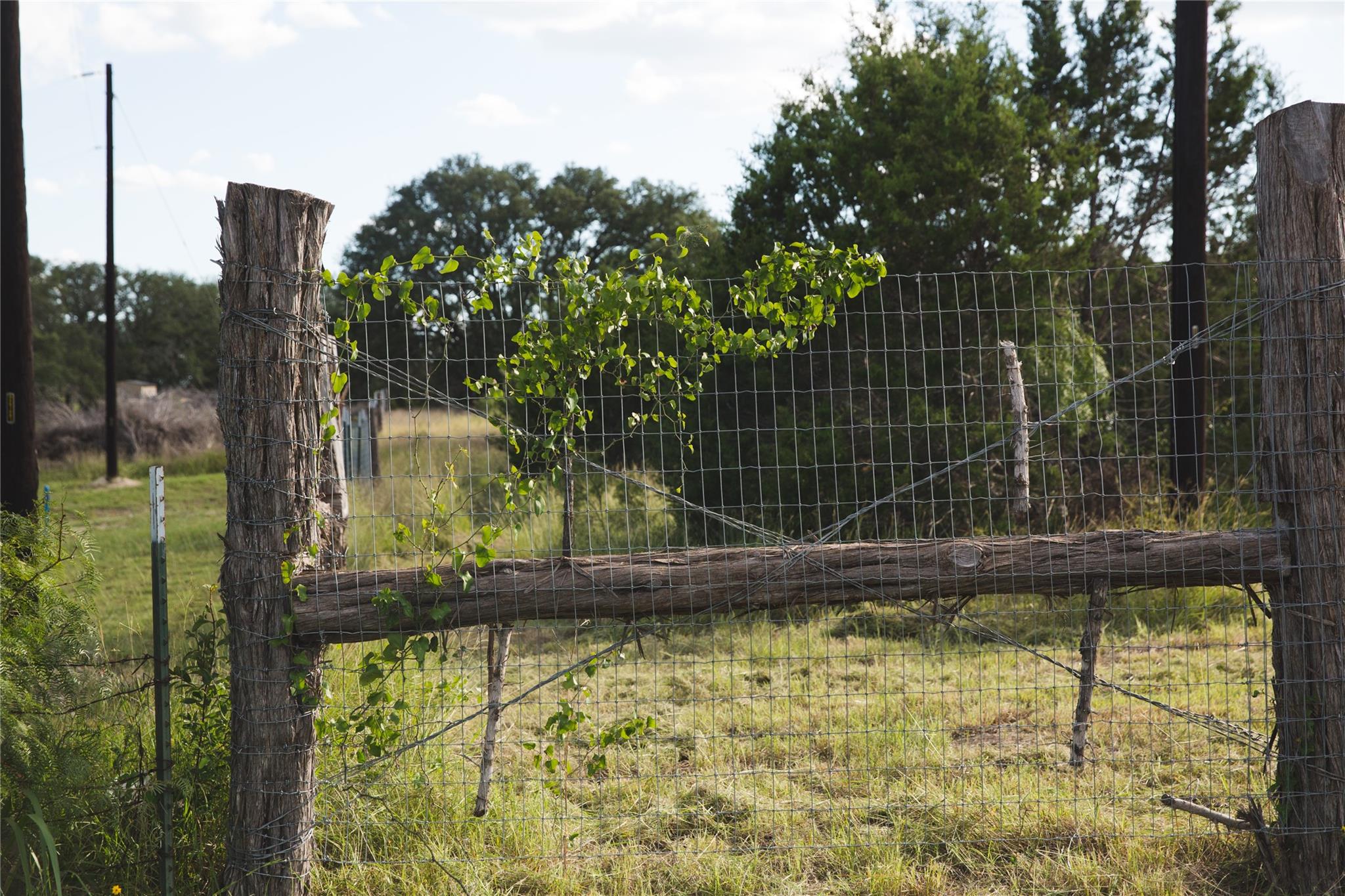 LOT 2 Cr 330, Burnet, TX 78611