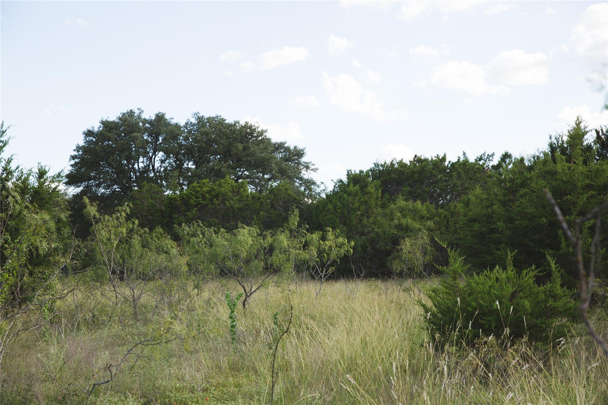 LOT 2 Cr 330, Burnet, TX 78611