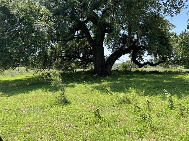534 Scotts School Rd, Flatonia, TX 78941