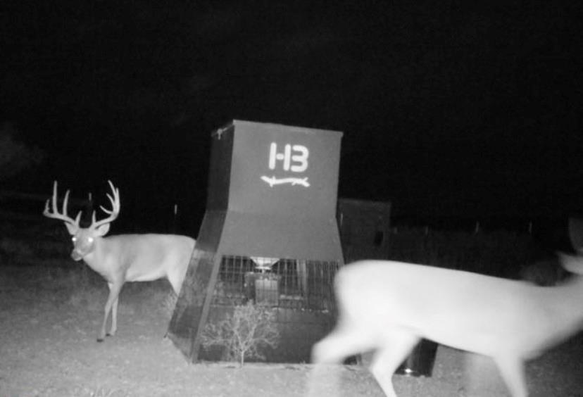 7945 County Road 202, San Saba, TX 76877