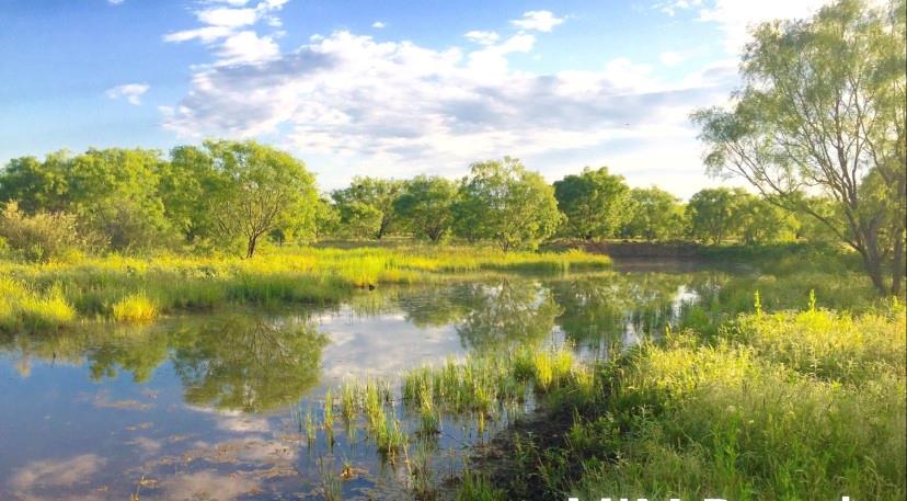 7945 County Road 202, San Saba, TX 76877