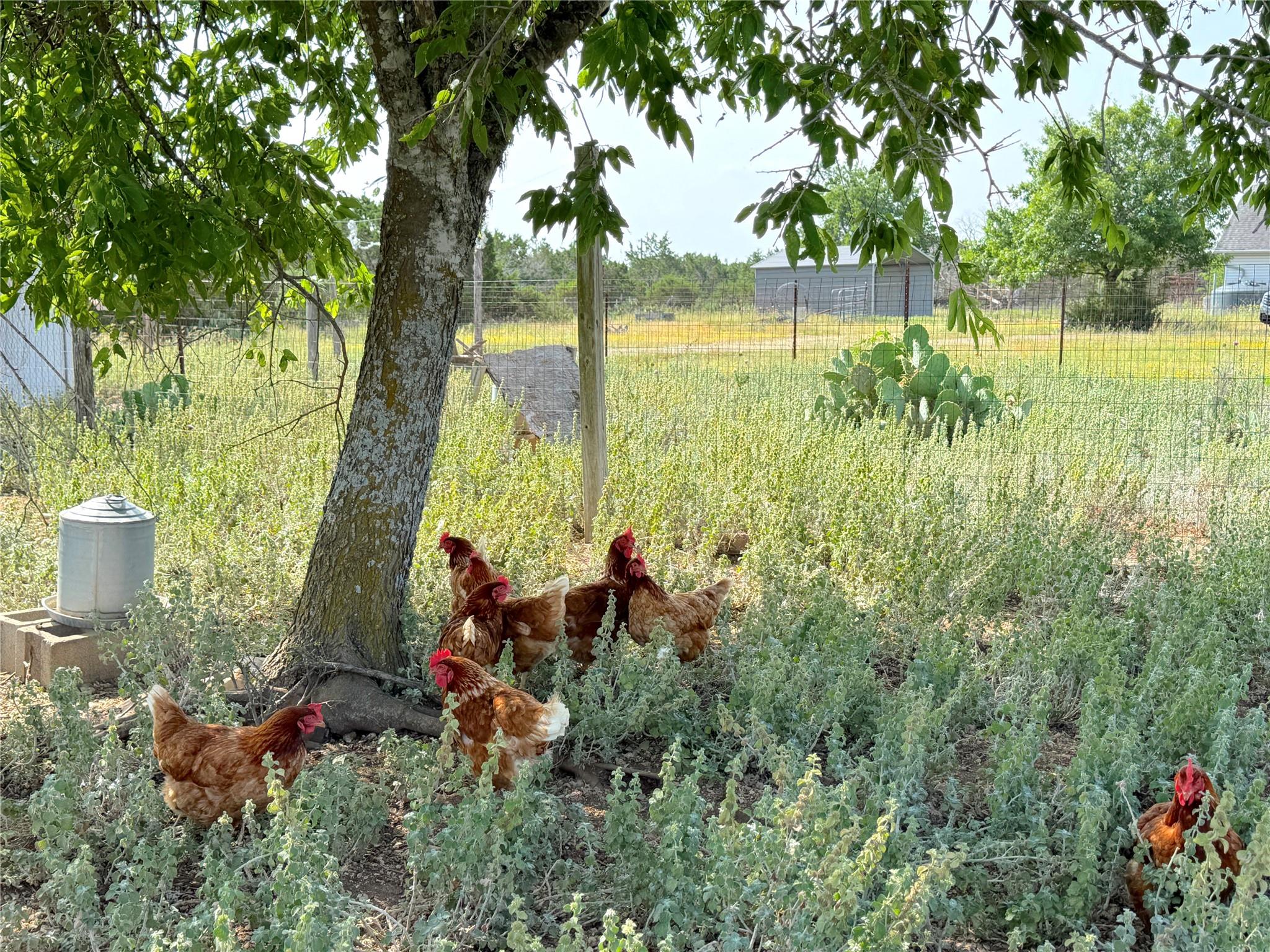 12055 Rebecca Creek Rd, Spring Branch, TX 78070