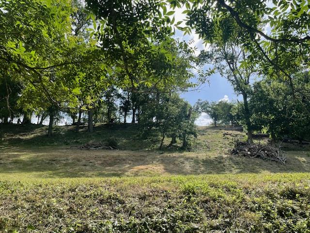 Lot 248 & 247 River Forest Dr, Bergheim, TX 78004