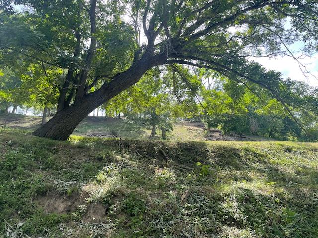 Lot 248 & 247 River Forest Dr, Bergheim, TX 78004