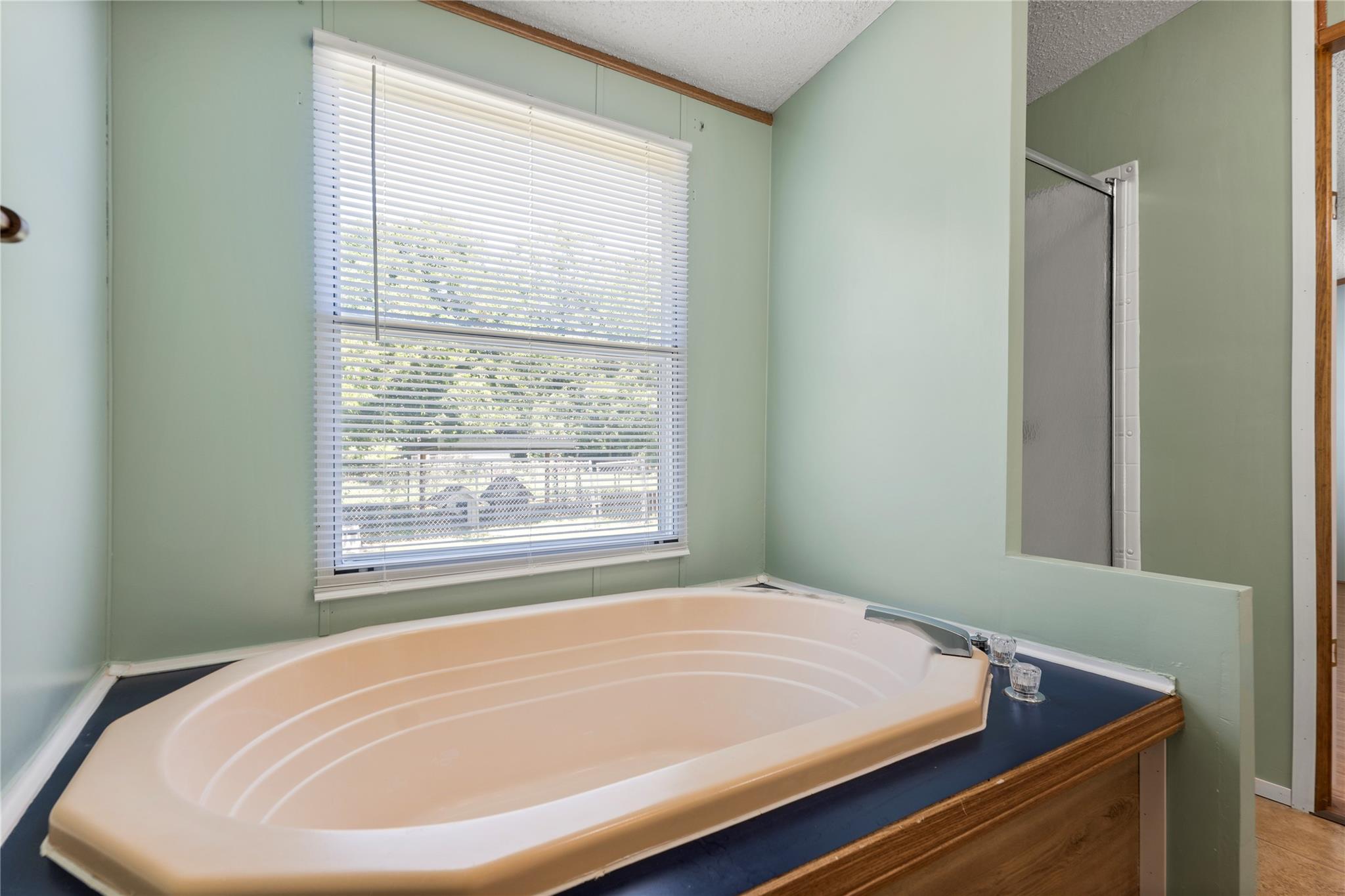 208 Purser St, Liberty Hill, TX 78642