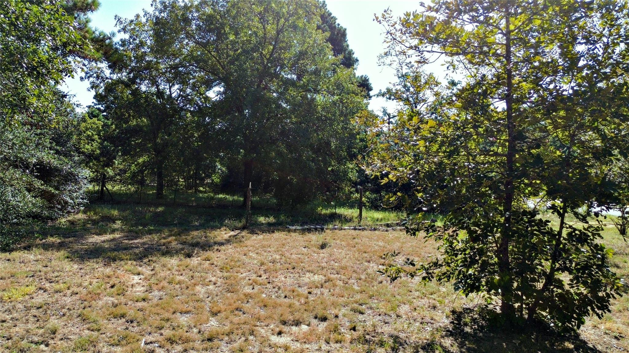 109 Travis Rd, Paige, TX 78659