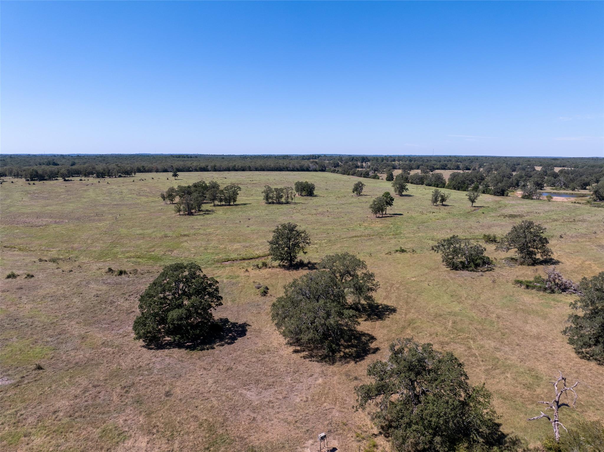 1078 Old Pin Oak Rd # Tract 1, Paige, TX 78659