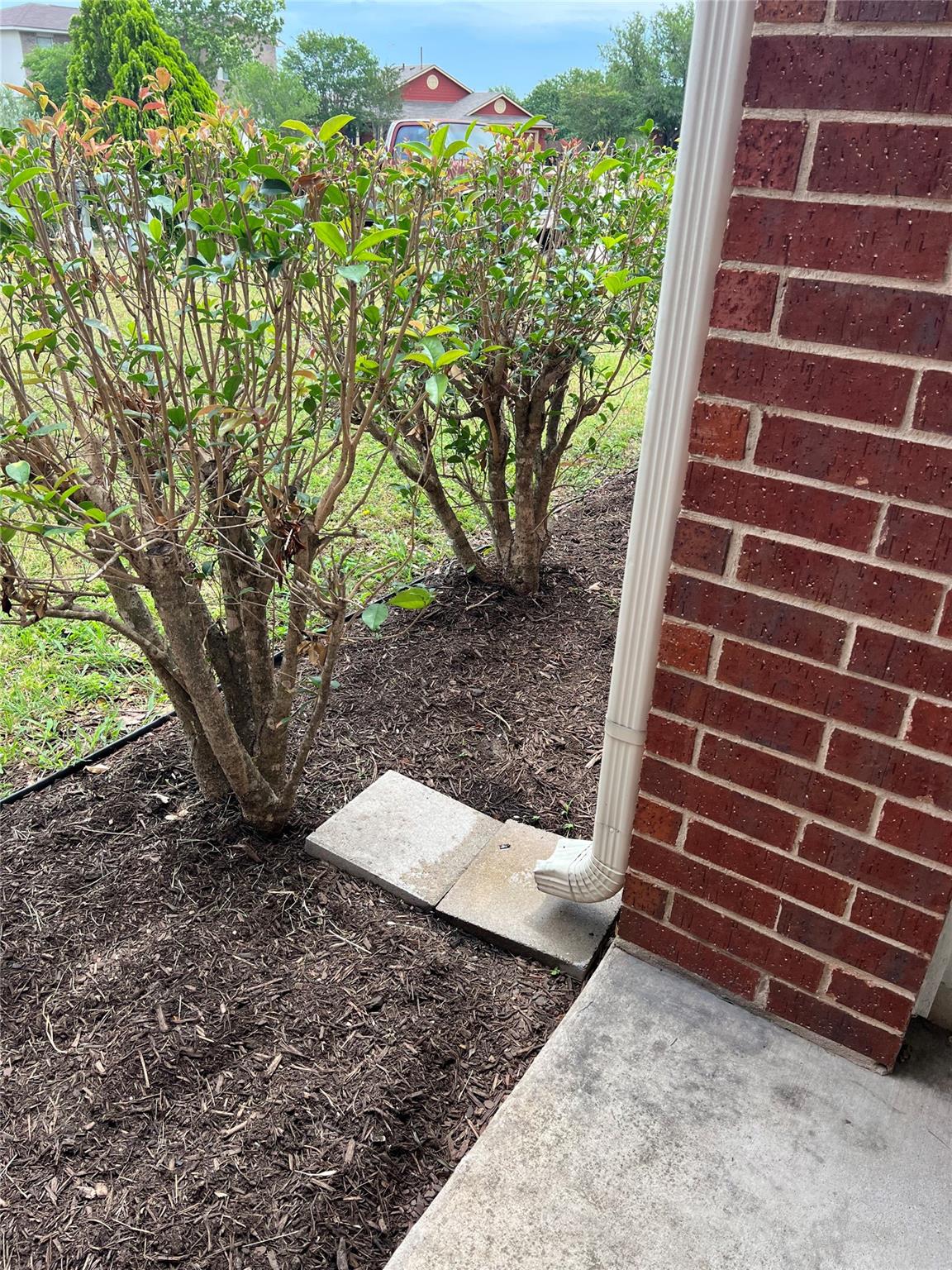 112 Mason Reed Cv, Kyle, TX 78640