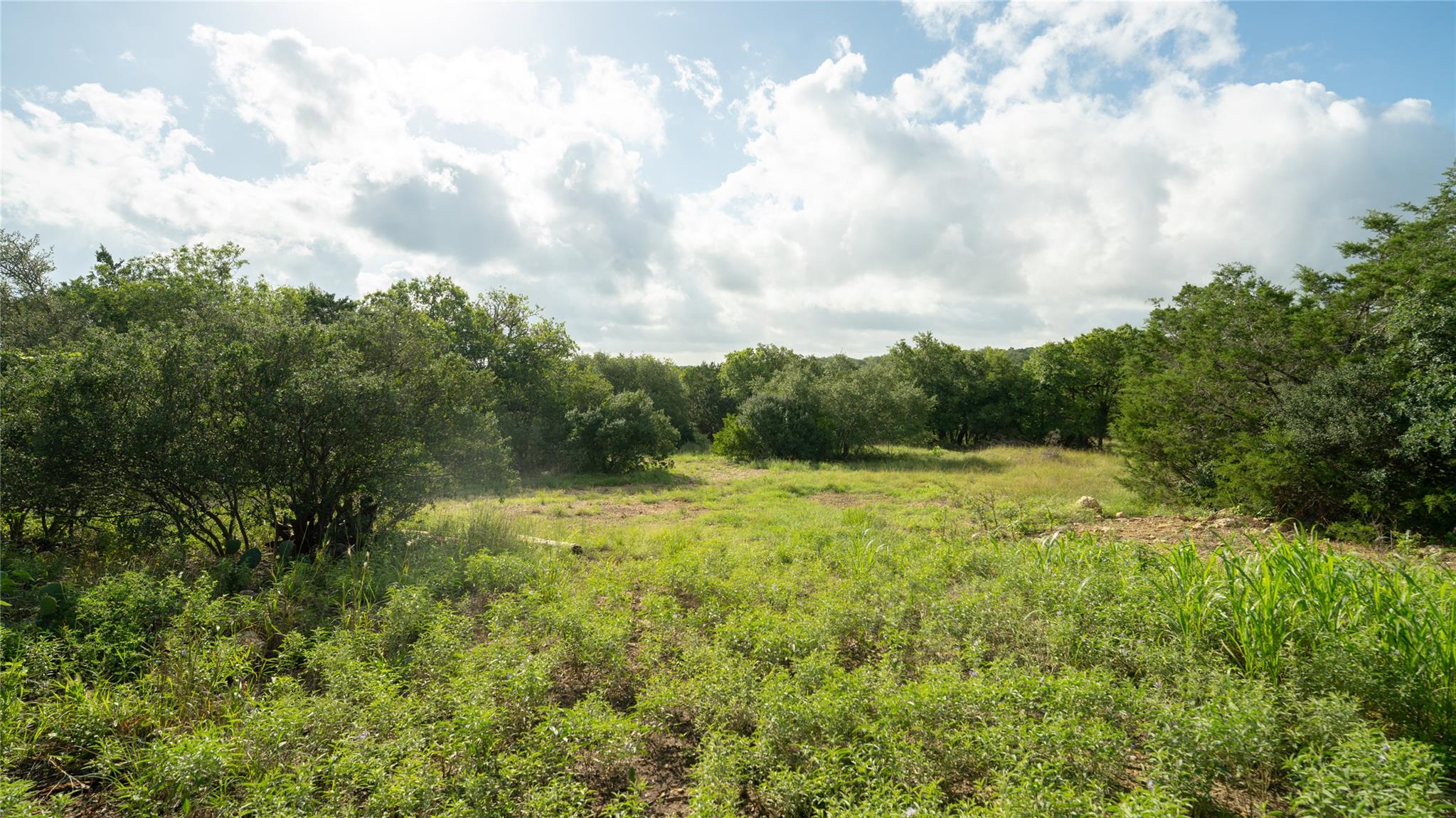 1100 Alpine Trl, San Marcos, TX 78666