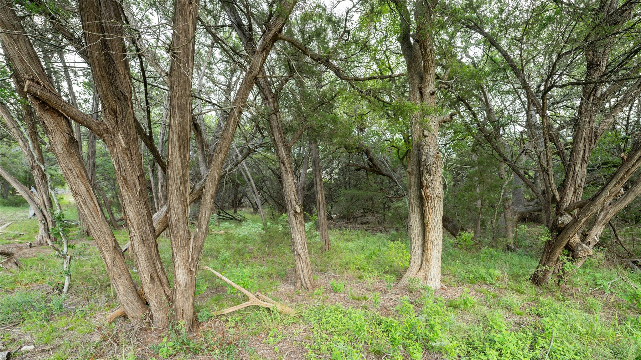 1100 Alpine Trl, San Marcos, TX 78666