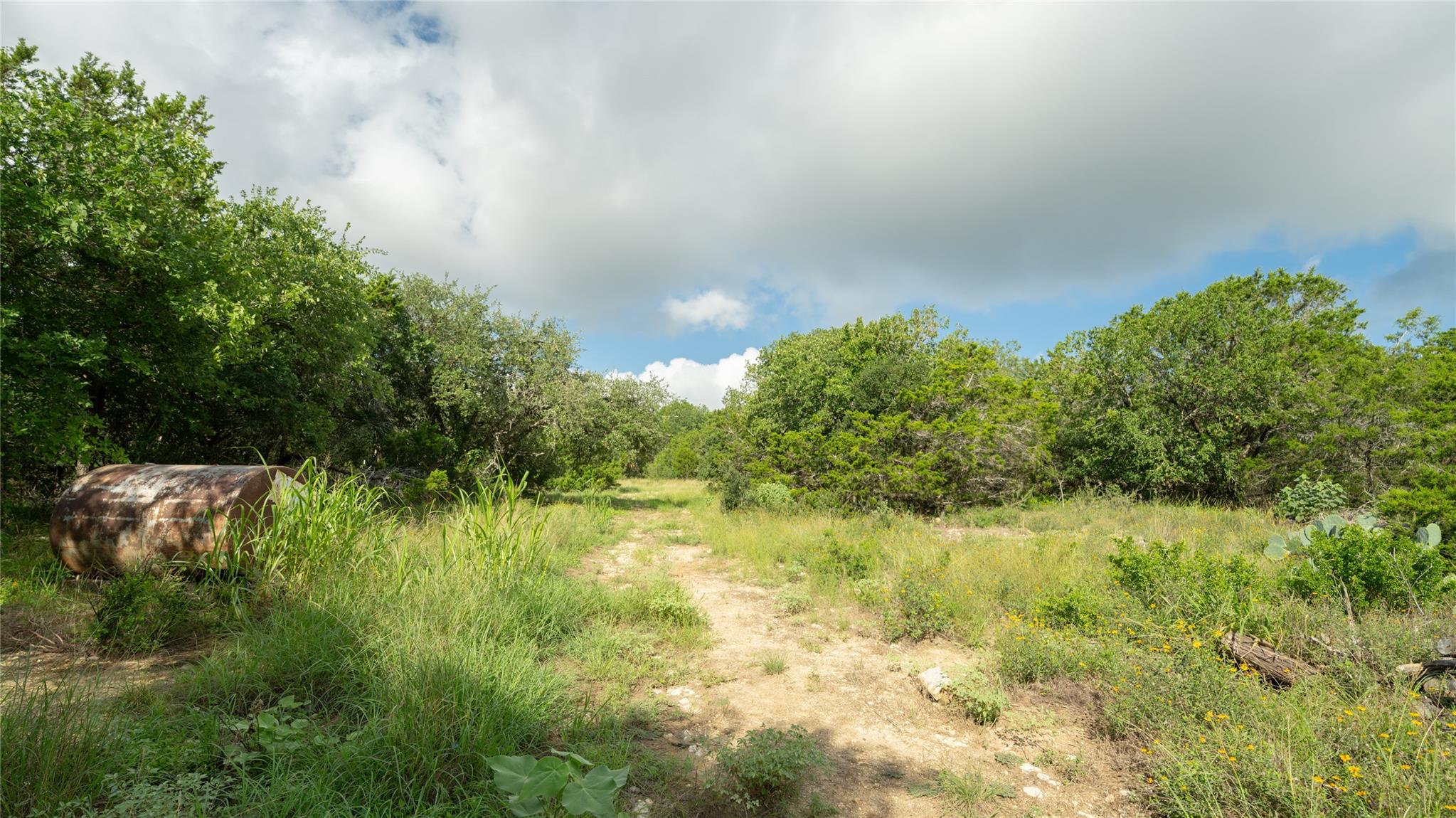 1100 Alpine Trl, San Marcos, TX 78666