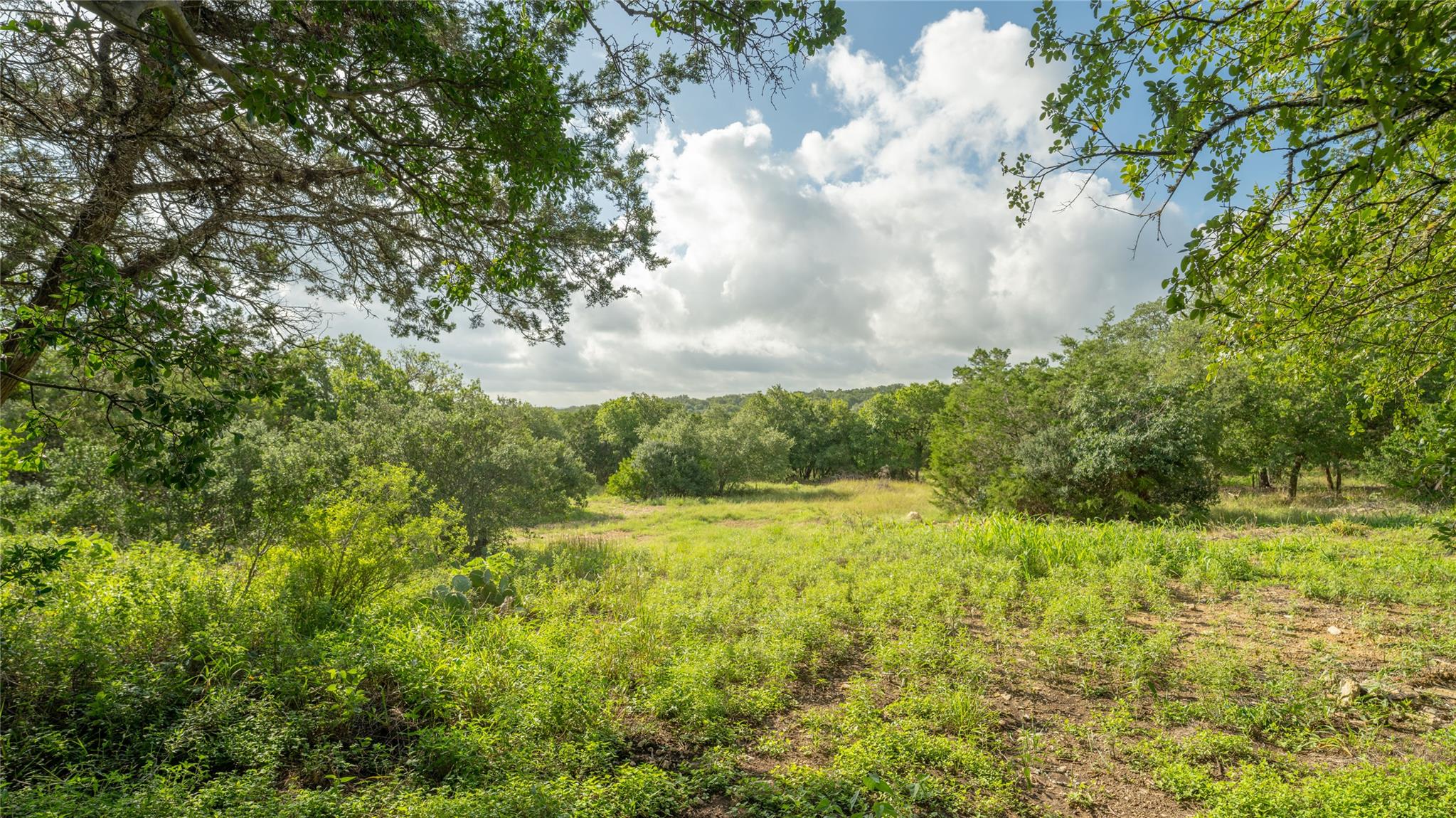 1100 Alpine Trl, San Marcos, TX 78666