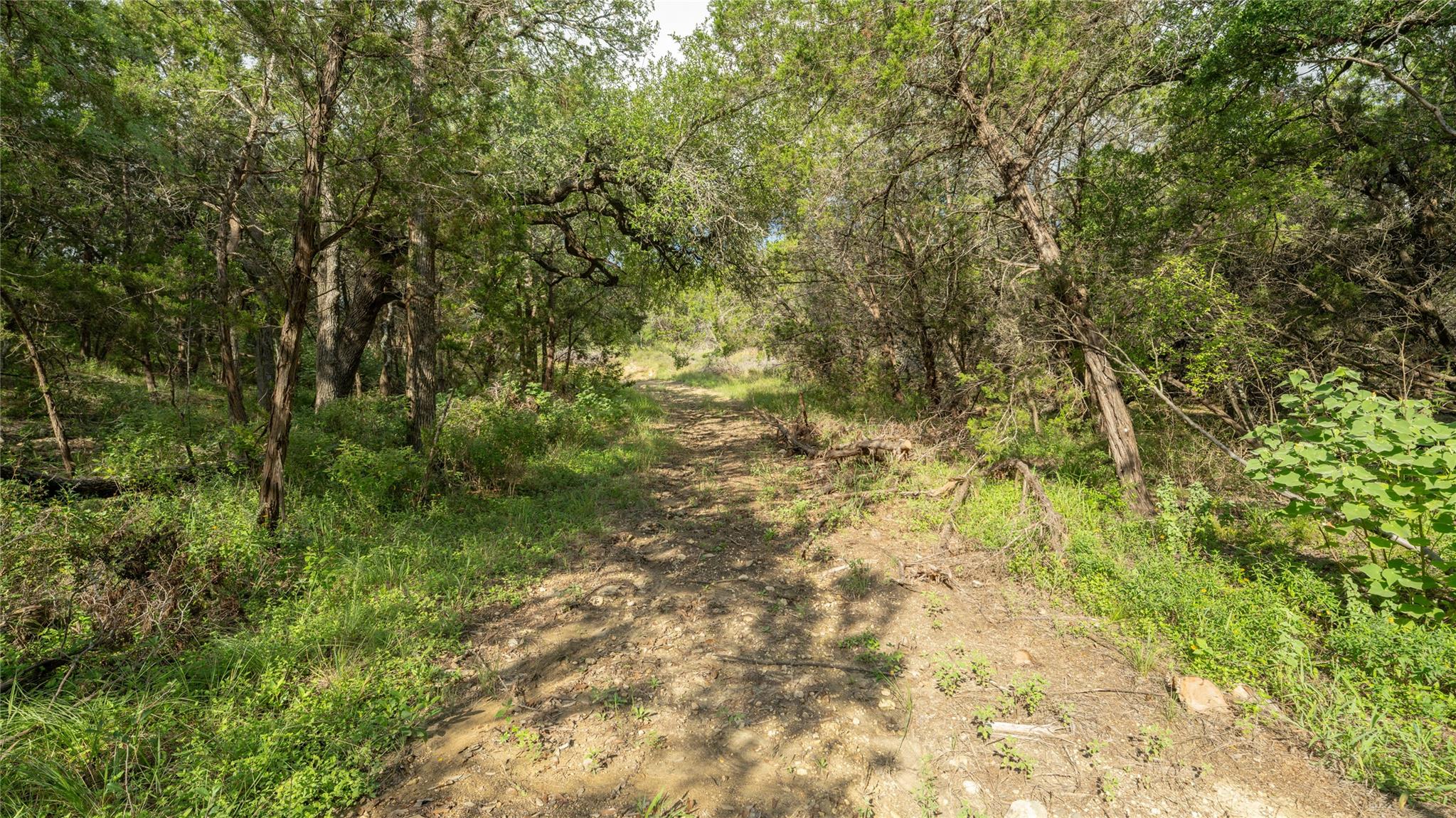 1100 Alpine Trl, San Marcos, TX 78666