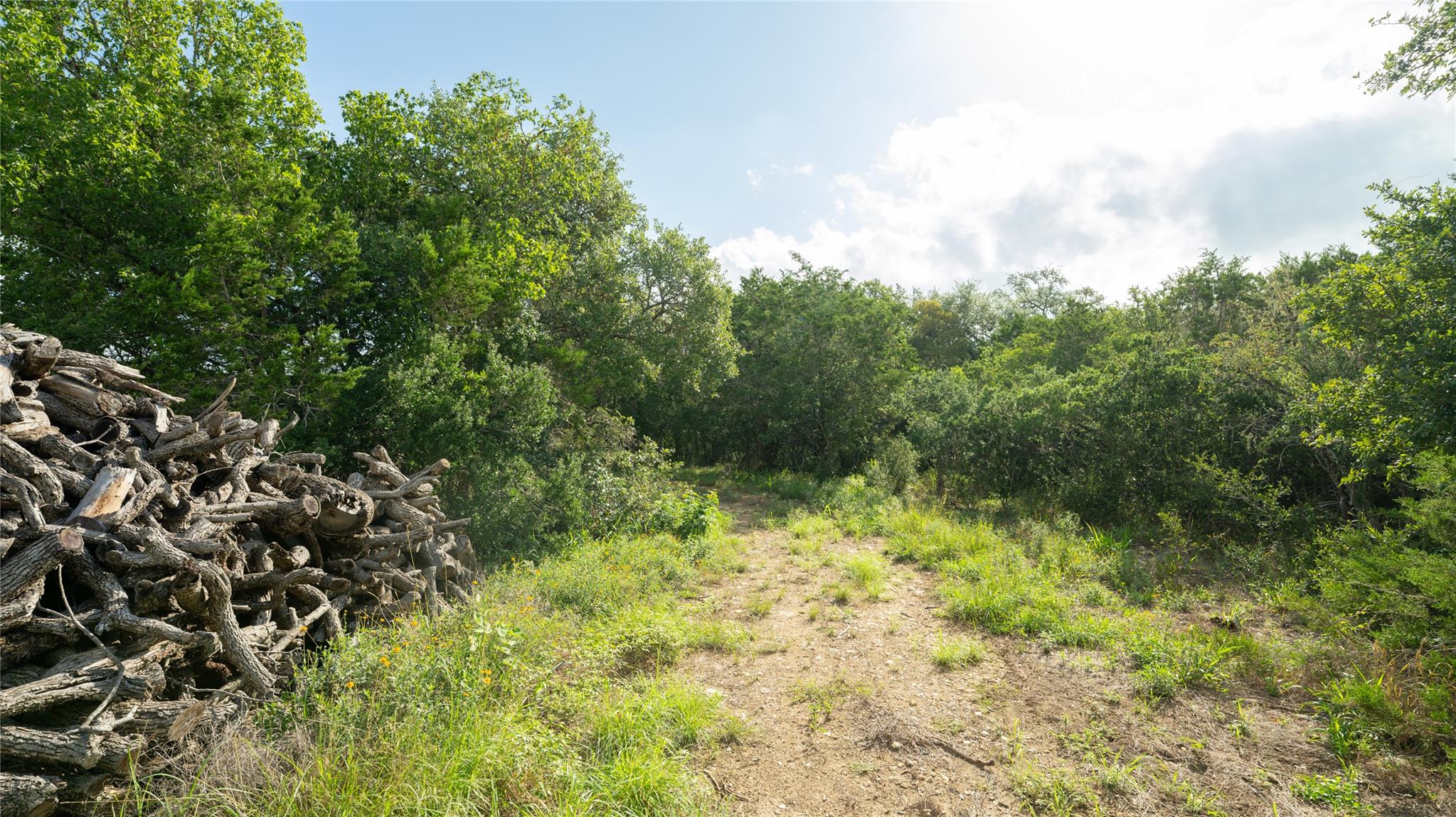 1100 Alpine Trl, San Marcos, TX 78666