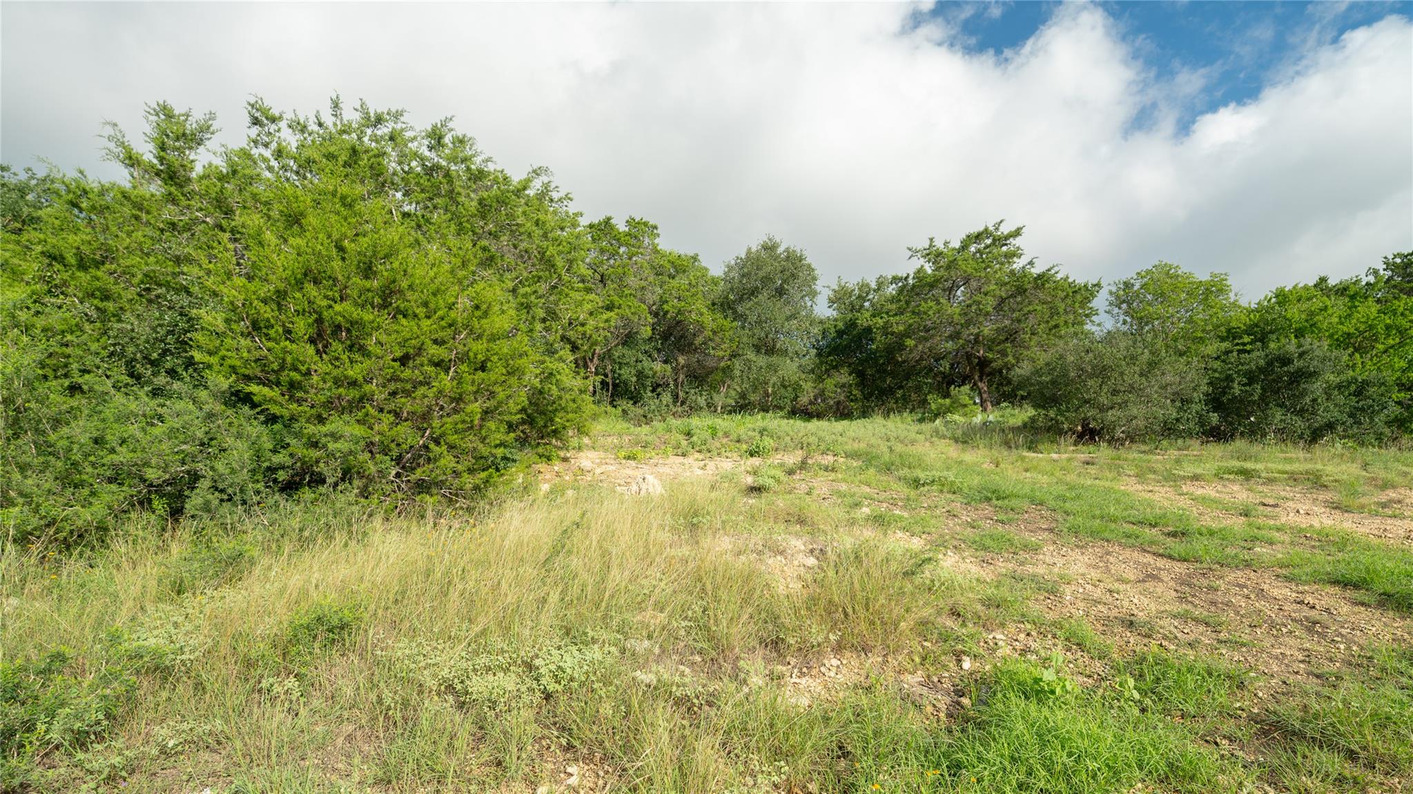 1100 Alpine Trl, San Marcos, TX 78666