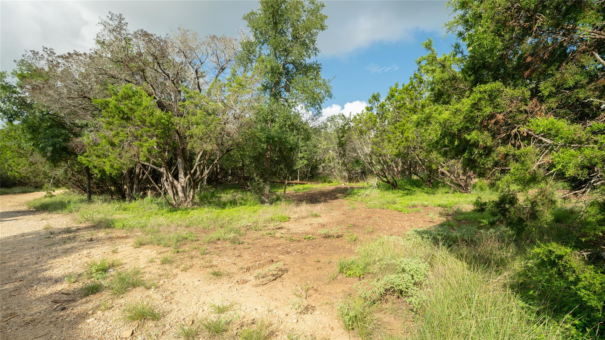 1100 Alpine Trl, San Marcos, TX 78666