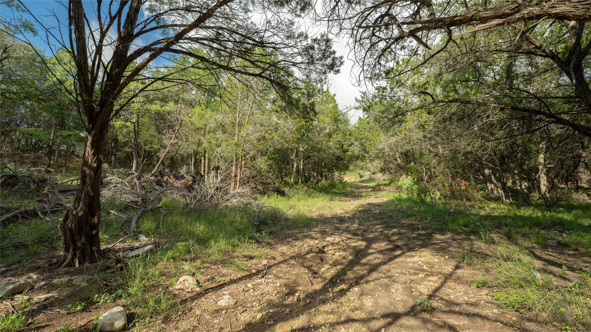 1100 Alpine Trl, San Marcos, TX 78666