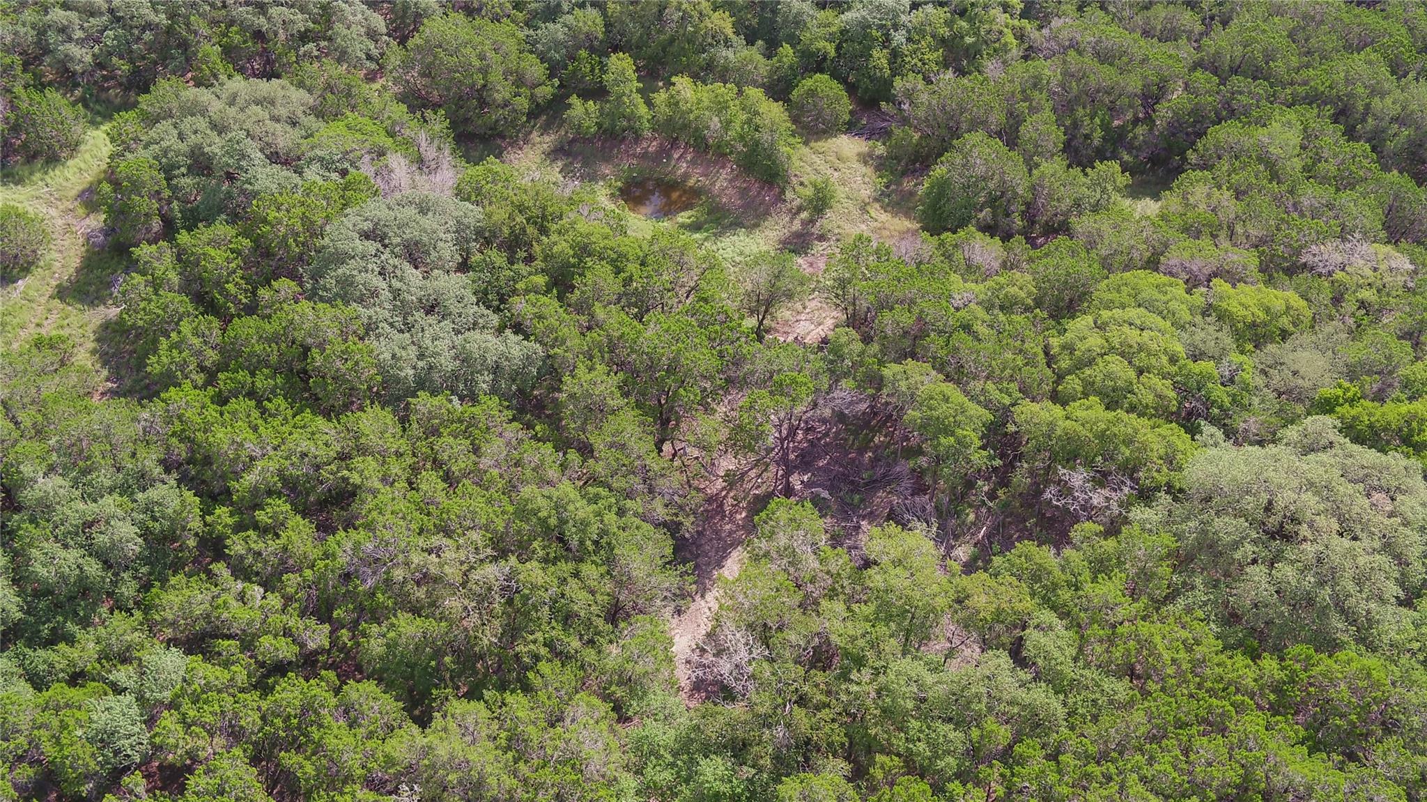 1100 Alpine Trl, San Marcos, TX 78666