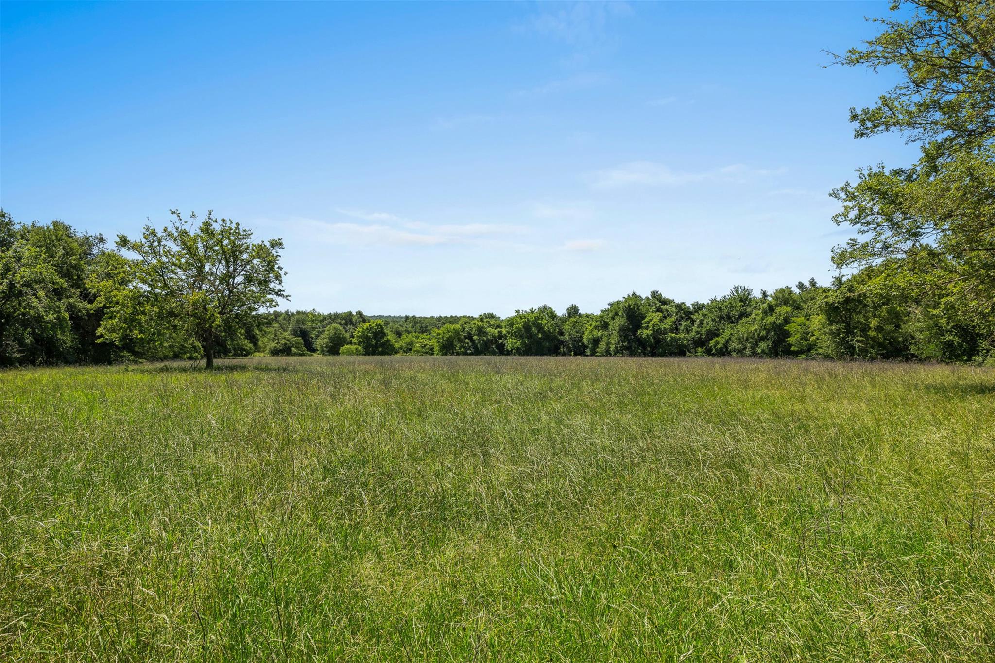 Lot 2 TBD CR 270, Cameron, TX 76520