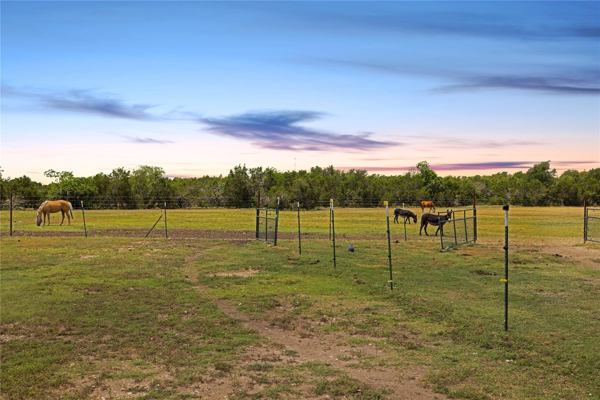 215 Mesa Vista Dr, Leander, TX 78641