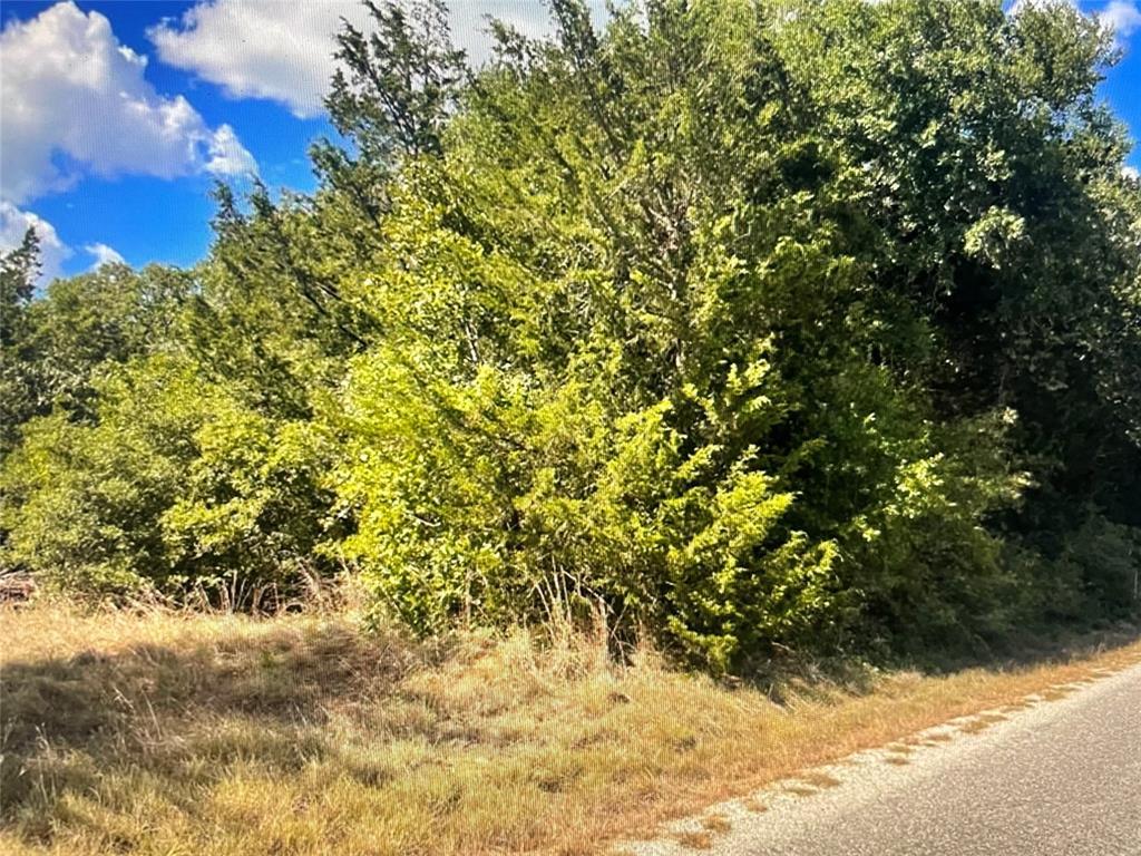 TBD CR 411 County Rd # 411, Lexington, TX 78947